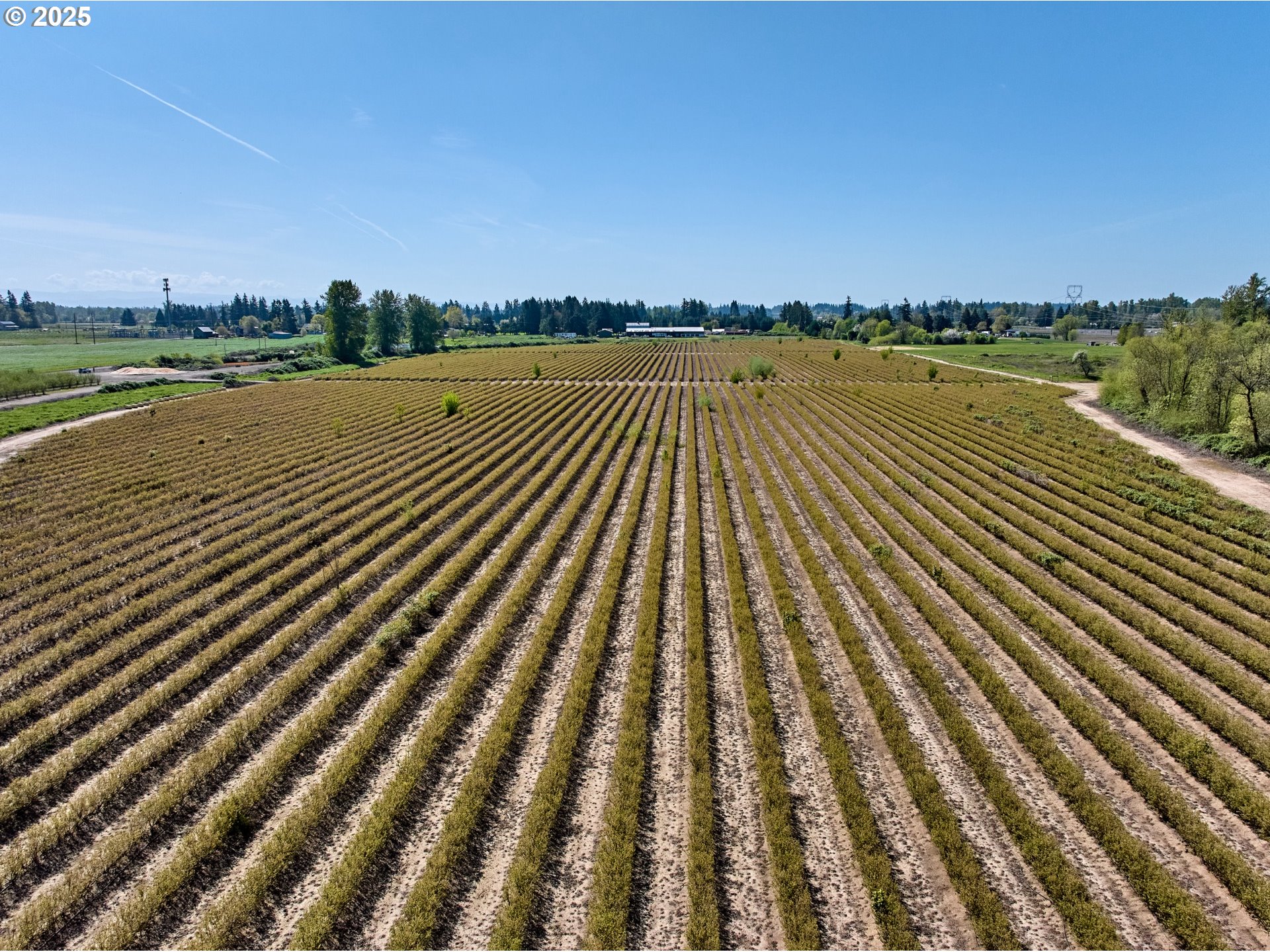 Canby, Oregon 97013, United States, ,Residential,Active,115019 Canby, Oregon 97013, United States, ,Residential,Active,115019