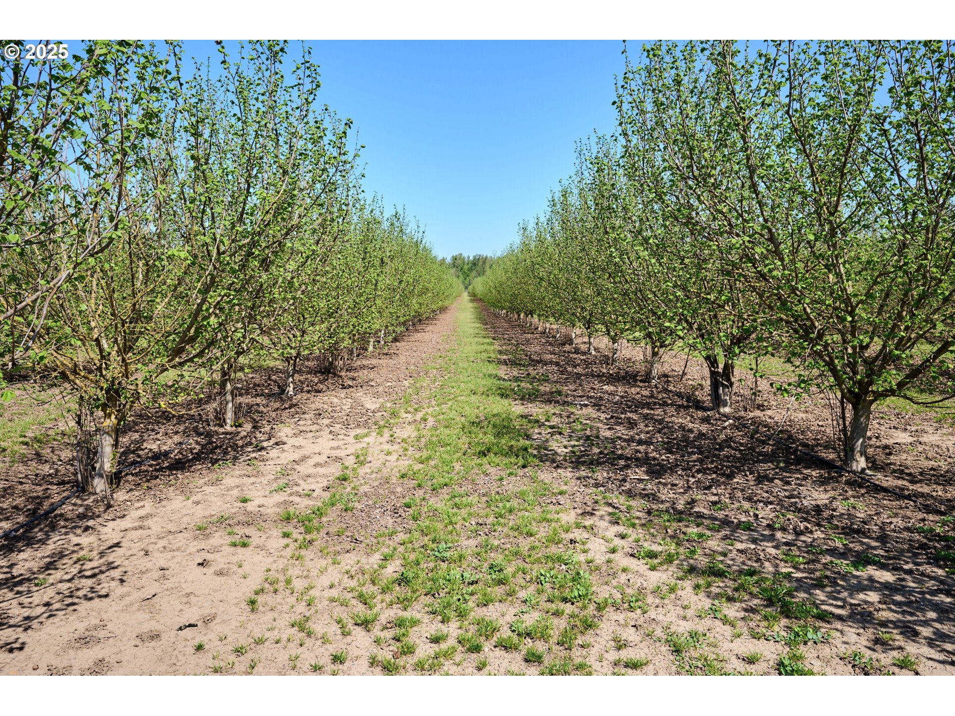 Canby, Oregon 97013, United States, ,Residential,Active,115019