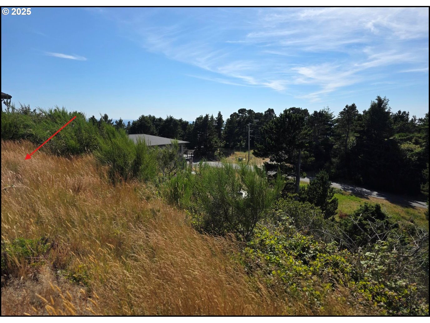 Oceanside, Oregon 97134, United States, ,Land,Active,174789