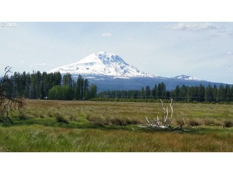 106 LAKESIDE RD Glenwood WA 98619