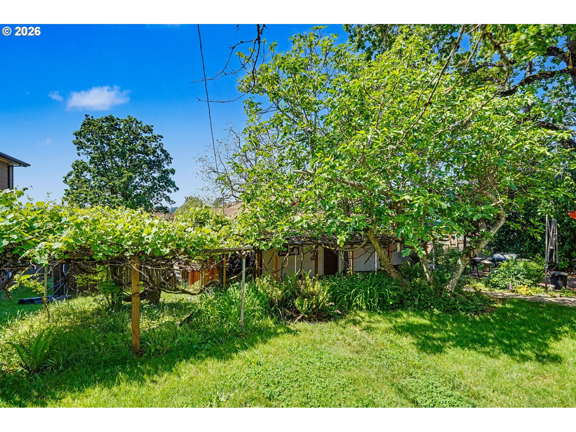 318 WESTFIELD ST