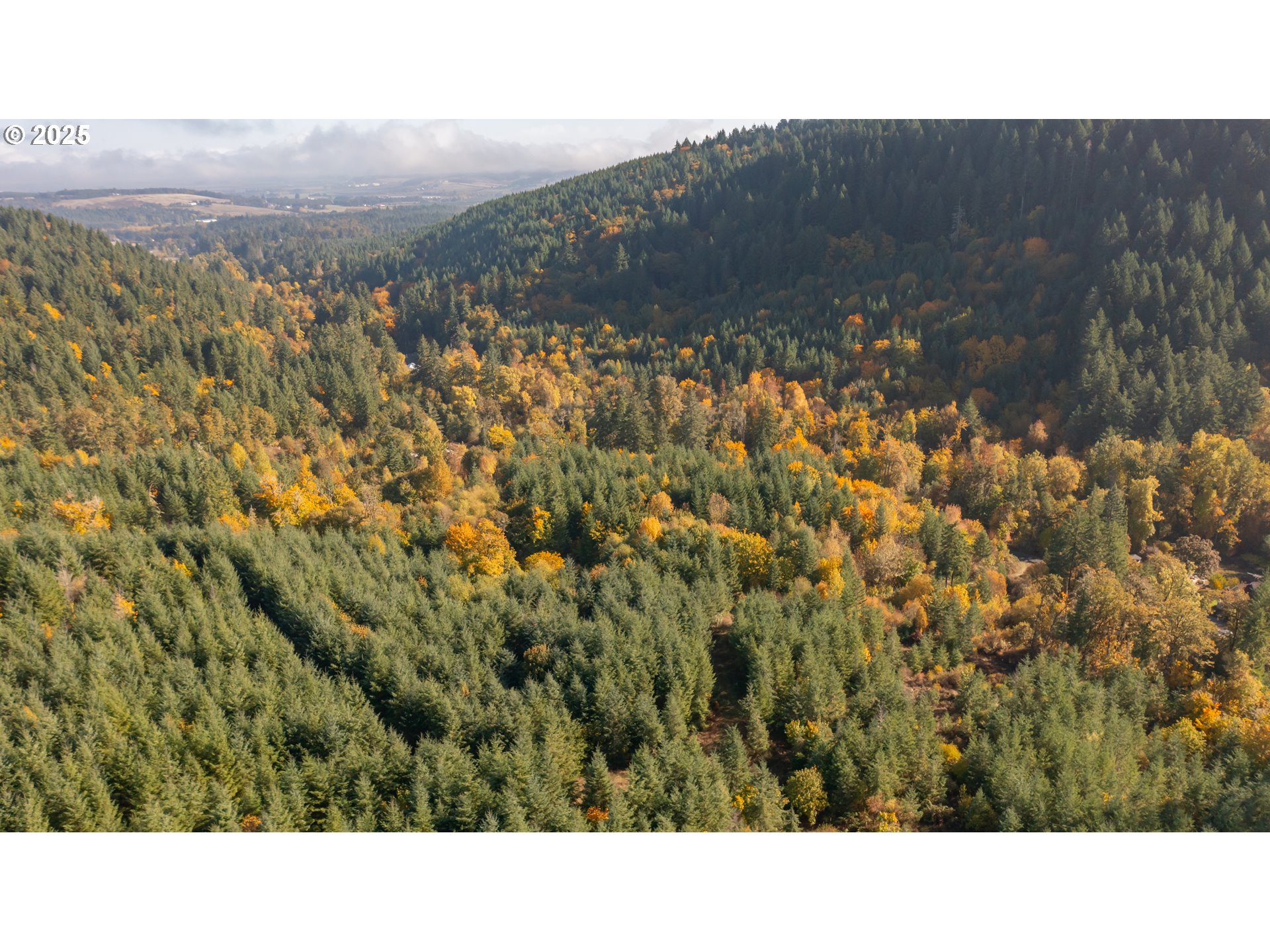 Dallas, Oregon 97338, United States, 2 Bedrooms Bedrooms, ,1 BathroomBathrooms,Residential,Active,232260