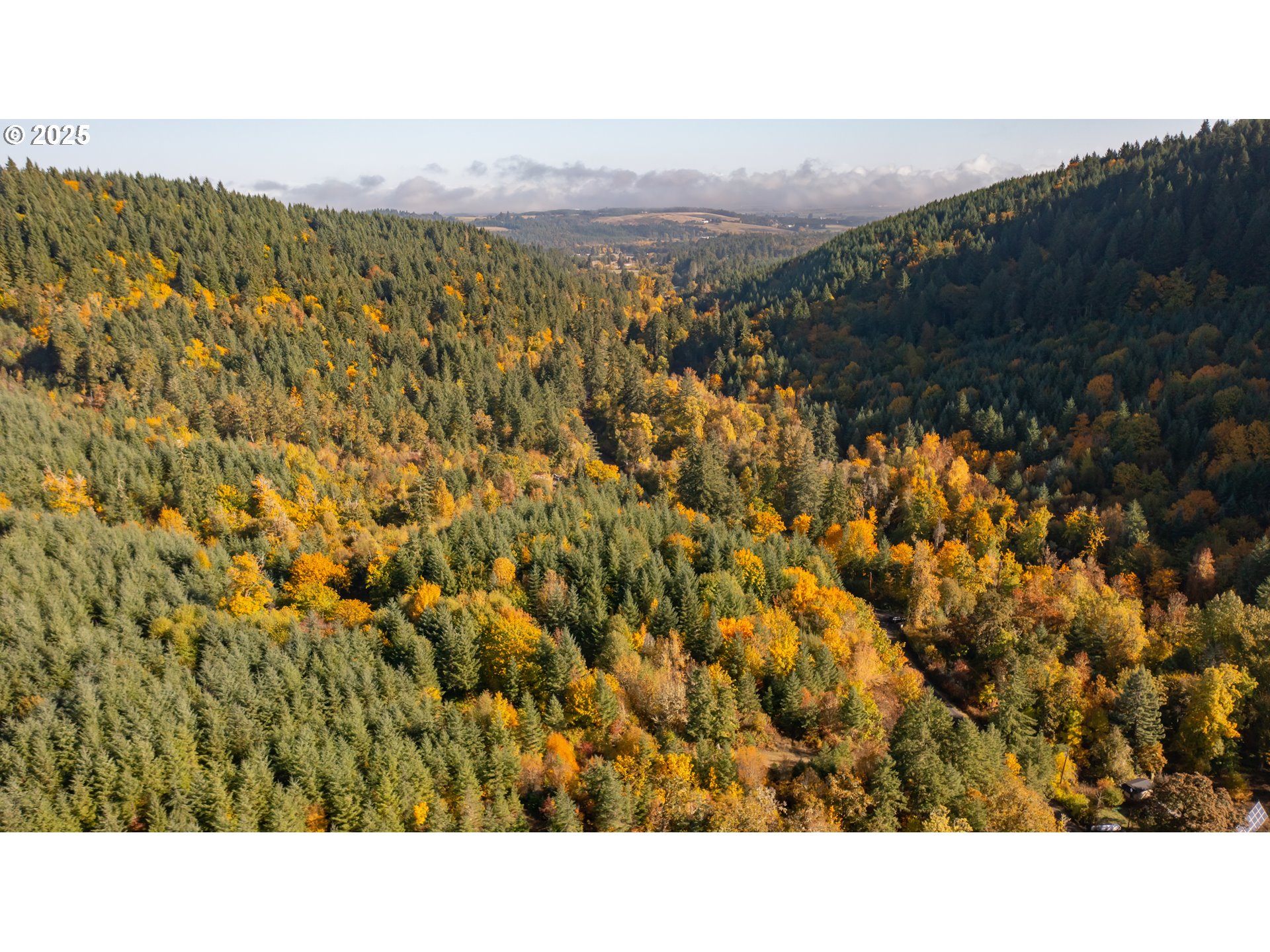 Dallas, Oregon 97338, United States, 2 Bedrooms Bedrooms, ,1 BathroomBathrooms,Residential,Active,232260