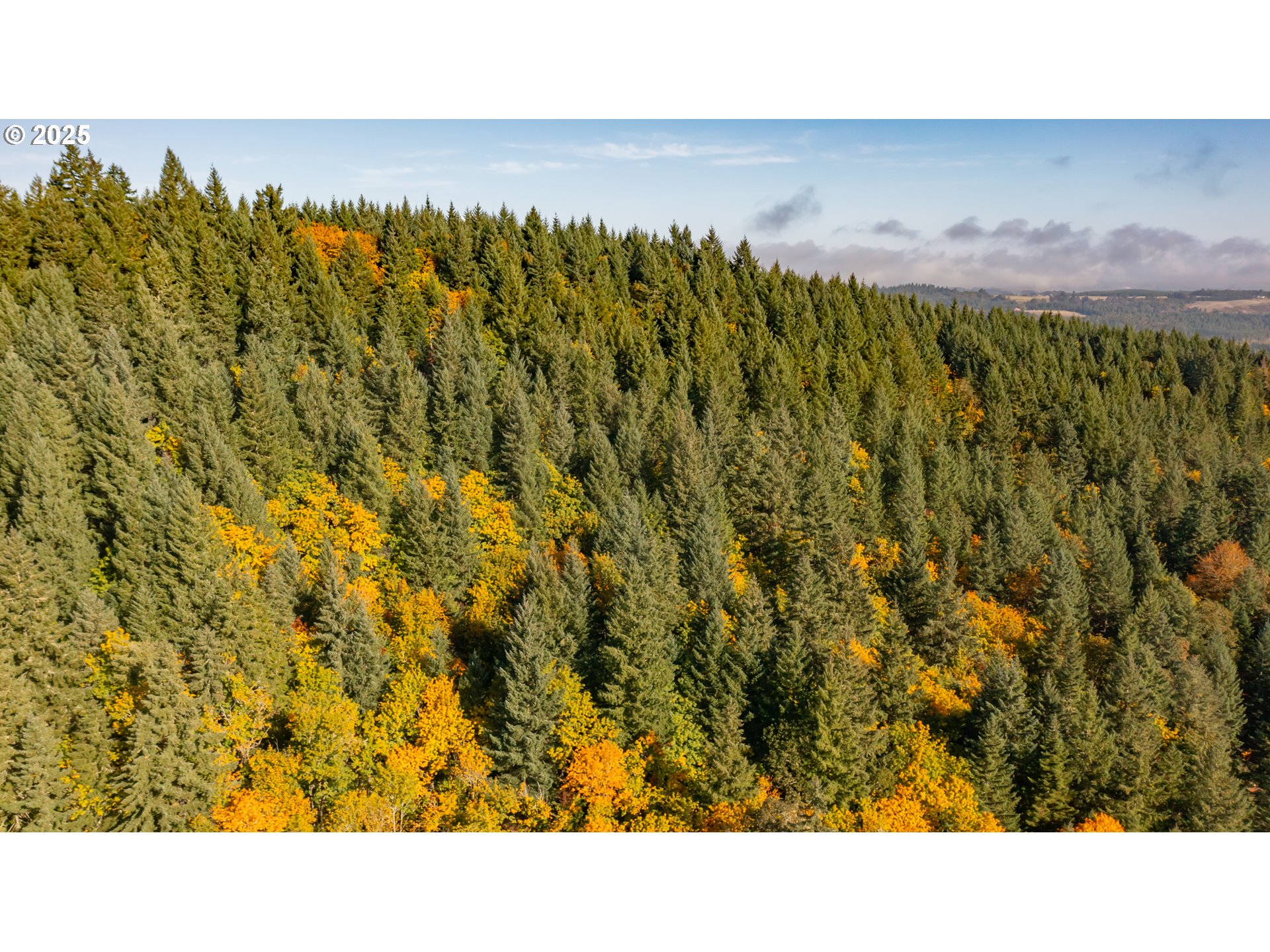 Dallas, Oregon 97338, United States, 2 Bedrooms Bedrooms, ,1 BathroomBathrooms,Residential,Active,232260