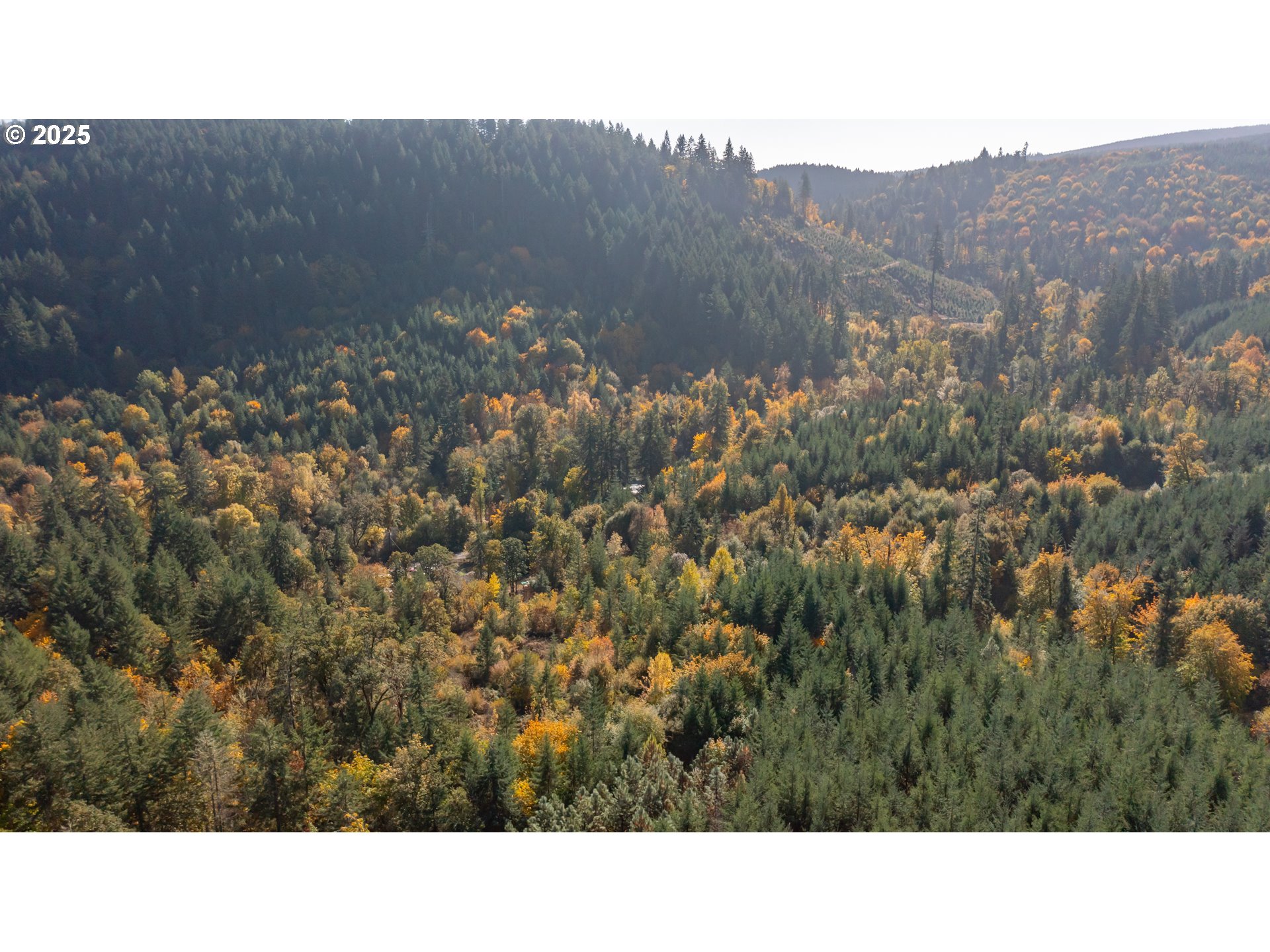 Dallas, Oregon 97338, United States, 2 Bedrooms Bedrooms, ,1 BathroomBathrooms,Residential,Active,232260