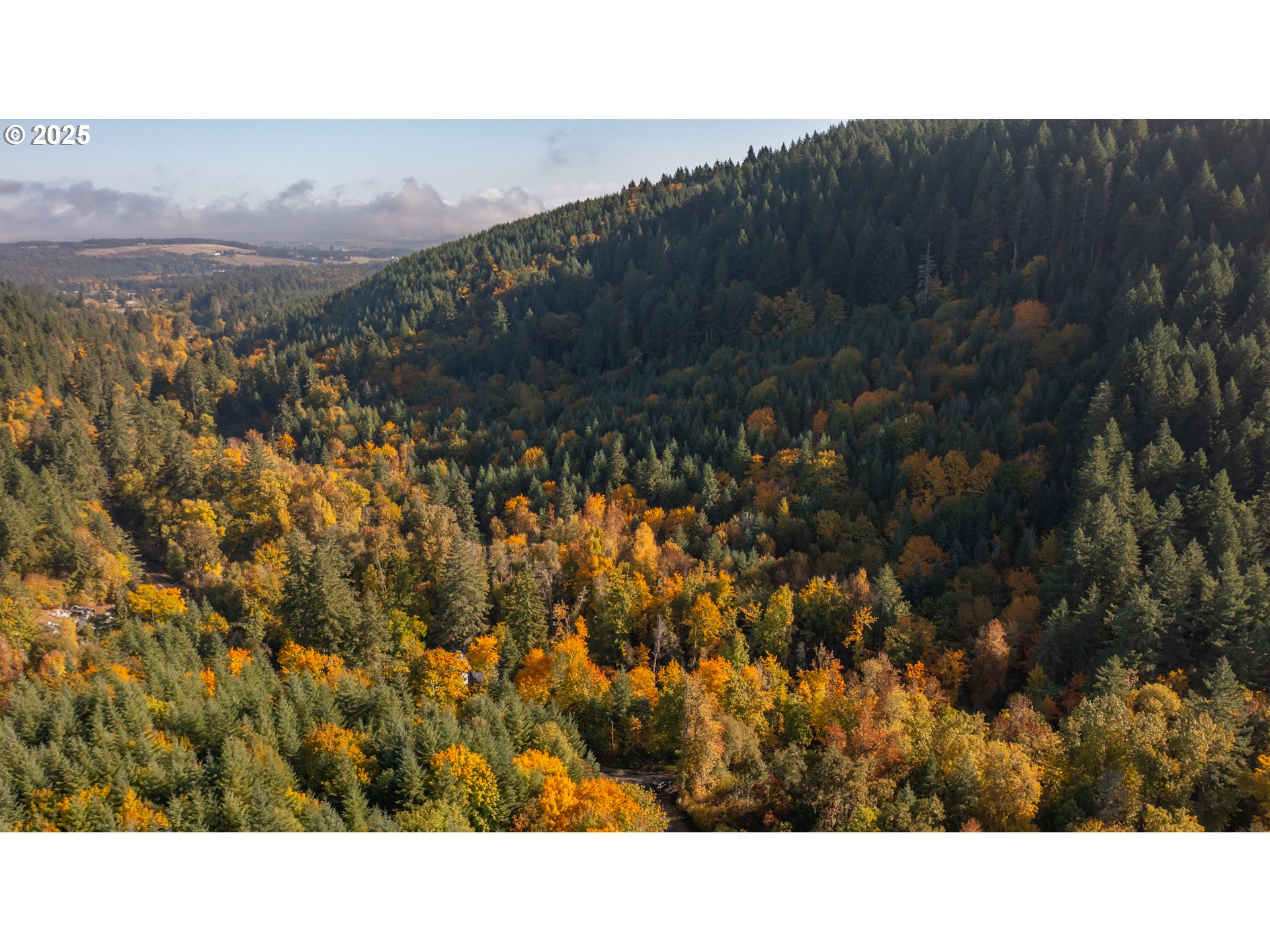 Dallas, Oregon 97338, United States, 2 Bedrooms Bedrooms, ,1 BathroomBathrooms,Residential,Active,232260