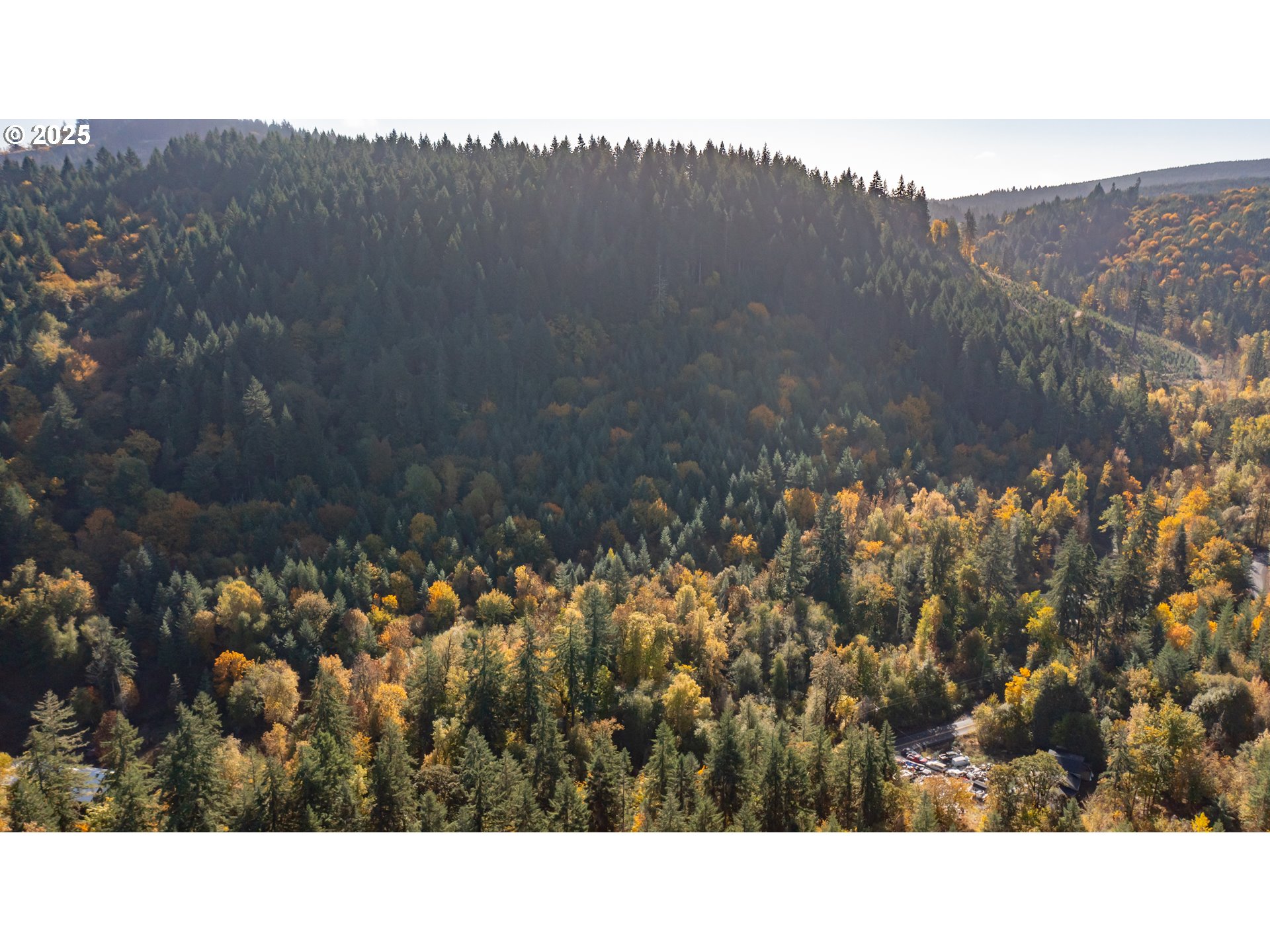 Dallas, Oregon 97338, United States, 2 Bedrooms Bedrooms, ,1 BathroomBathrooms,Residential,Active,232260