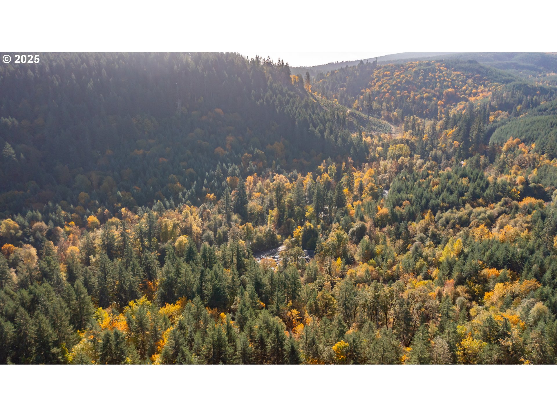 Dallas, Oregon 97338, United States, 2 Bedrooms Bedrooms, ,1 BathroomBathrooms,Residential,Active,232260