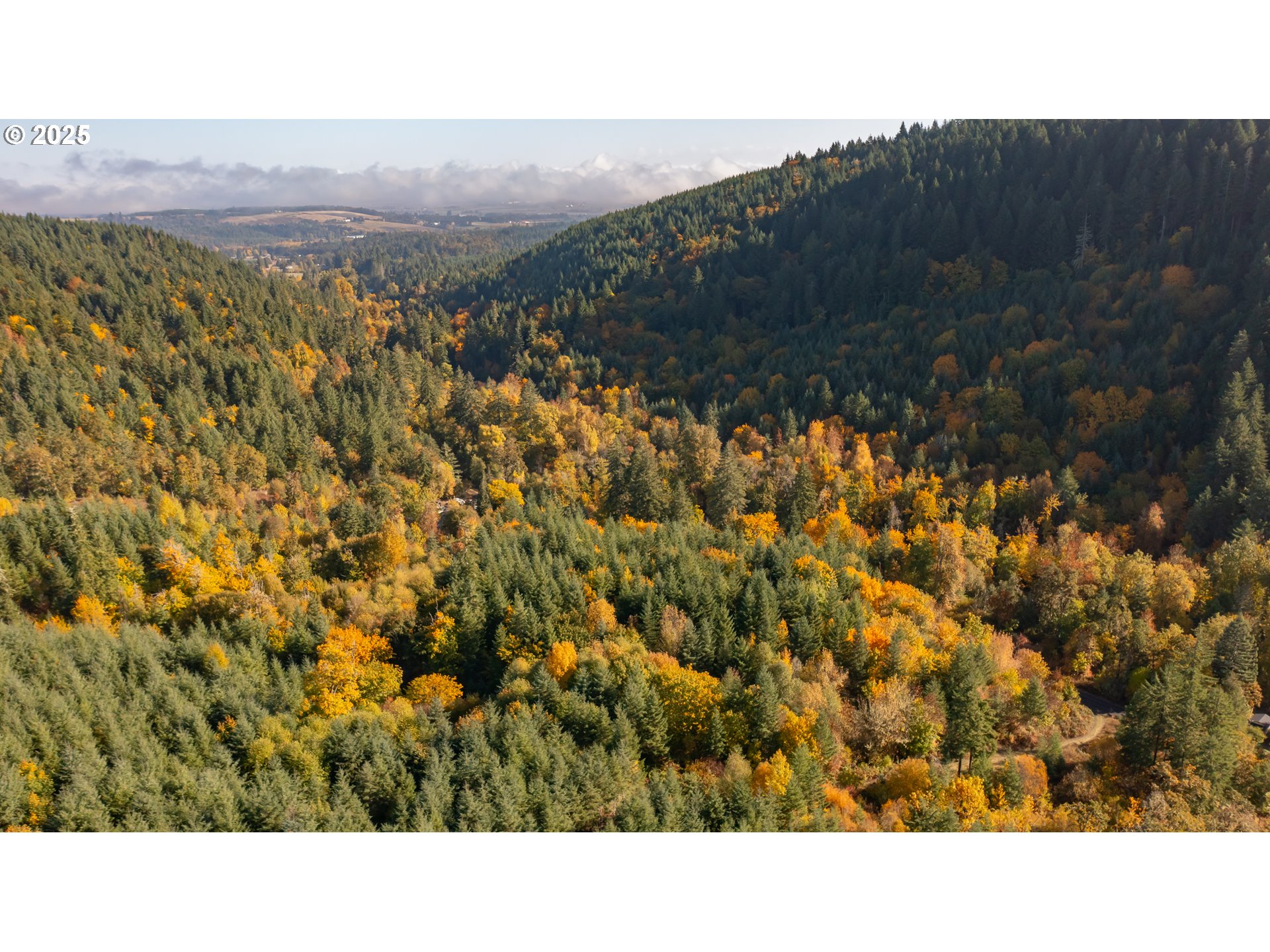 Dallas, Oregon 97338, United States, 2 Bedrooms Bedrooms, ,1 BathroomBathrooms,Residential,Active,232260