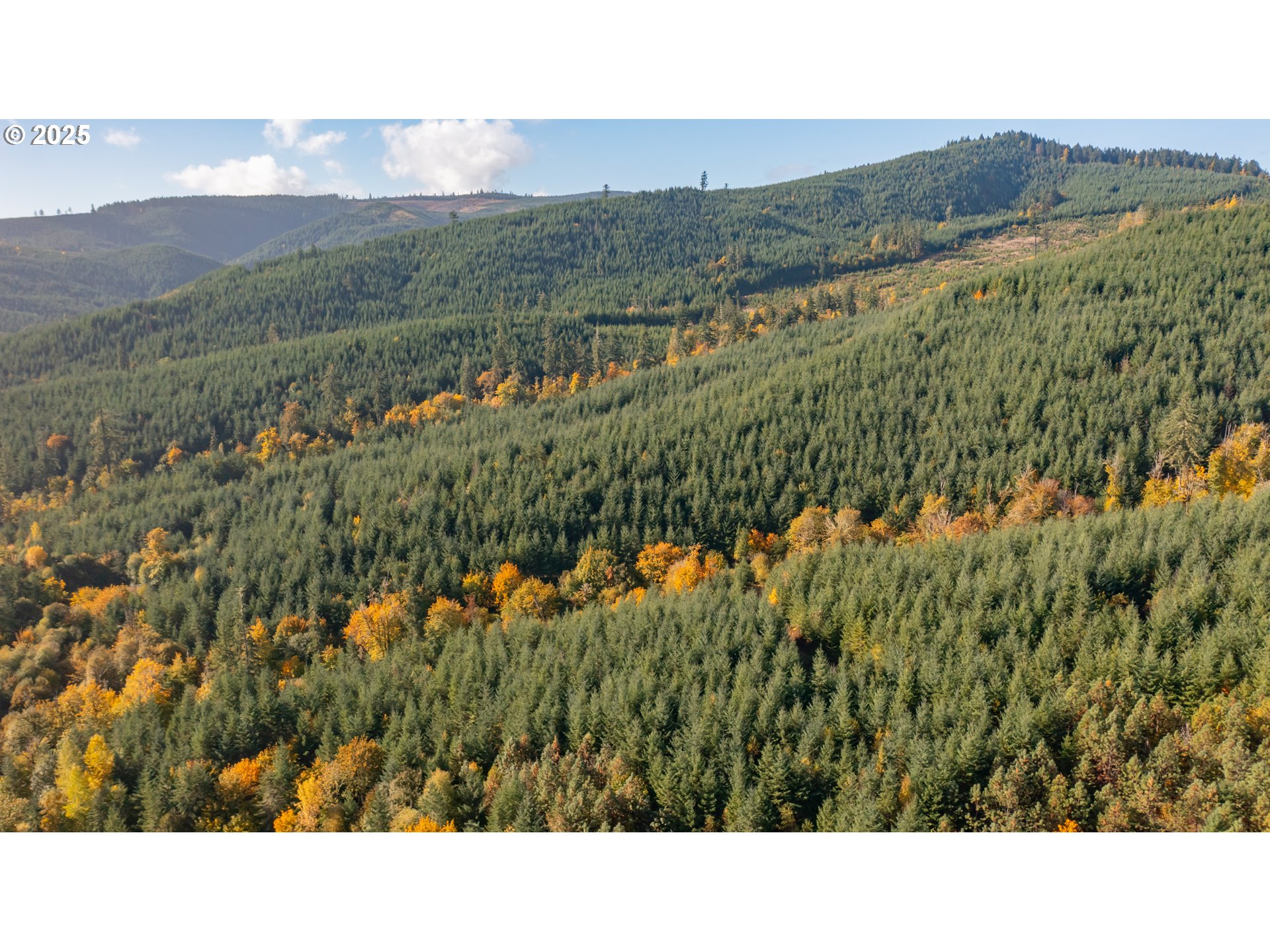 Dallas, Oregon 97338, United States, 2 Bedrooms Bedrooms, ,1 BathroomBathrooms,Residential,Active,232260