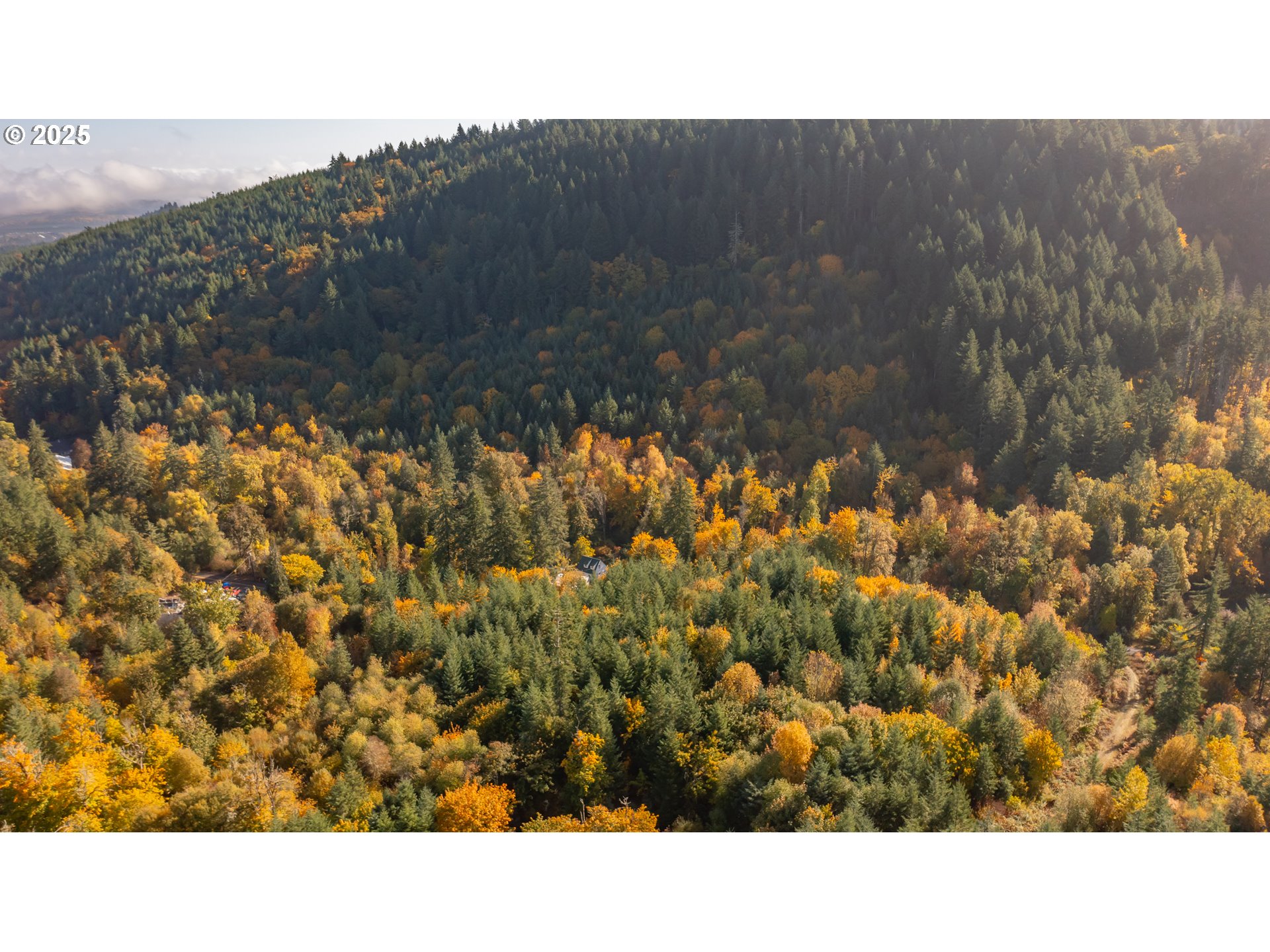 Dallas, Oregon 97338, United States, 2 Bedrooms Bedrooms, ,1 BathroomBathrooms,Residential,Active,232260