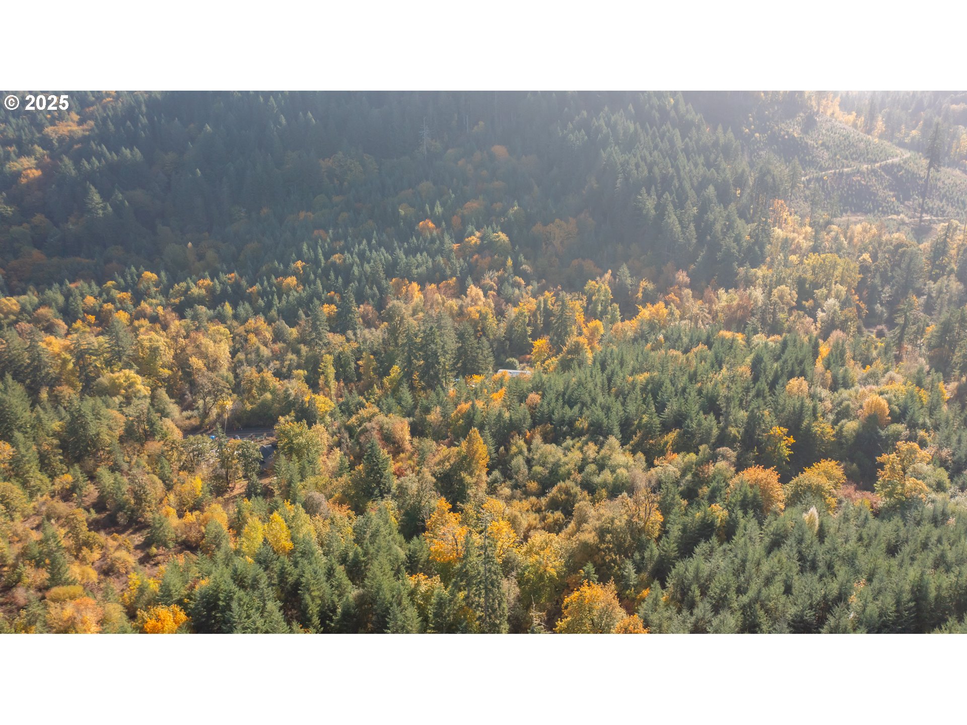 Dallas, Oregon 97338, United States, 2 Bedrooms Bedrooms, ,1 BathroomBathrooms,Residential,Active,232260