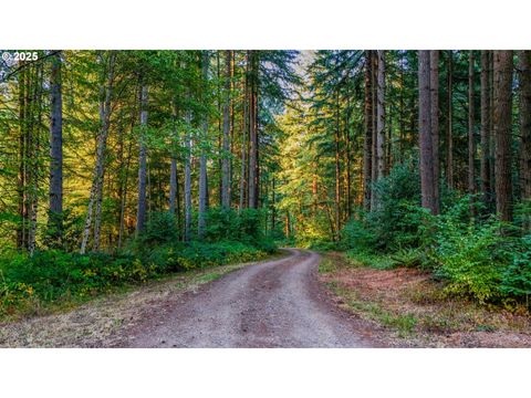 NW 389th ST Woodland WA 98674