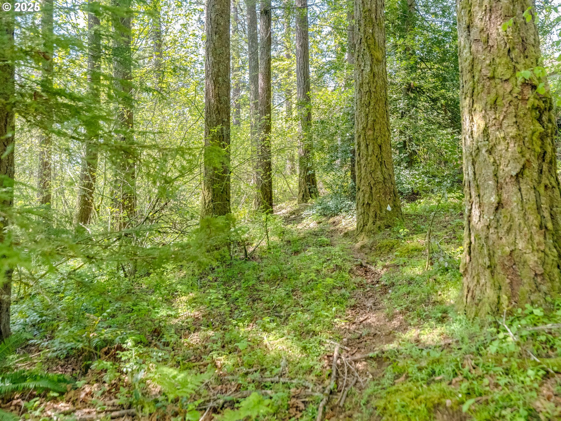 Washougal, Washington 98671, United States, ,Land,Active,118534