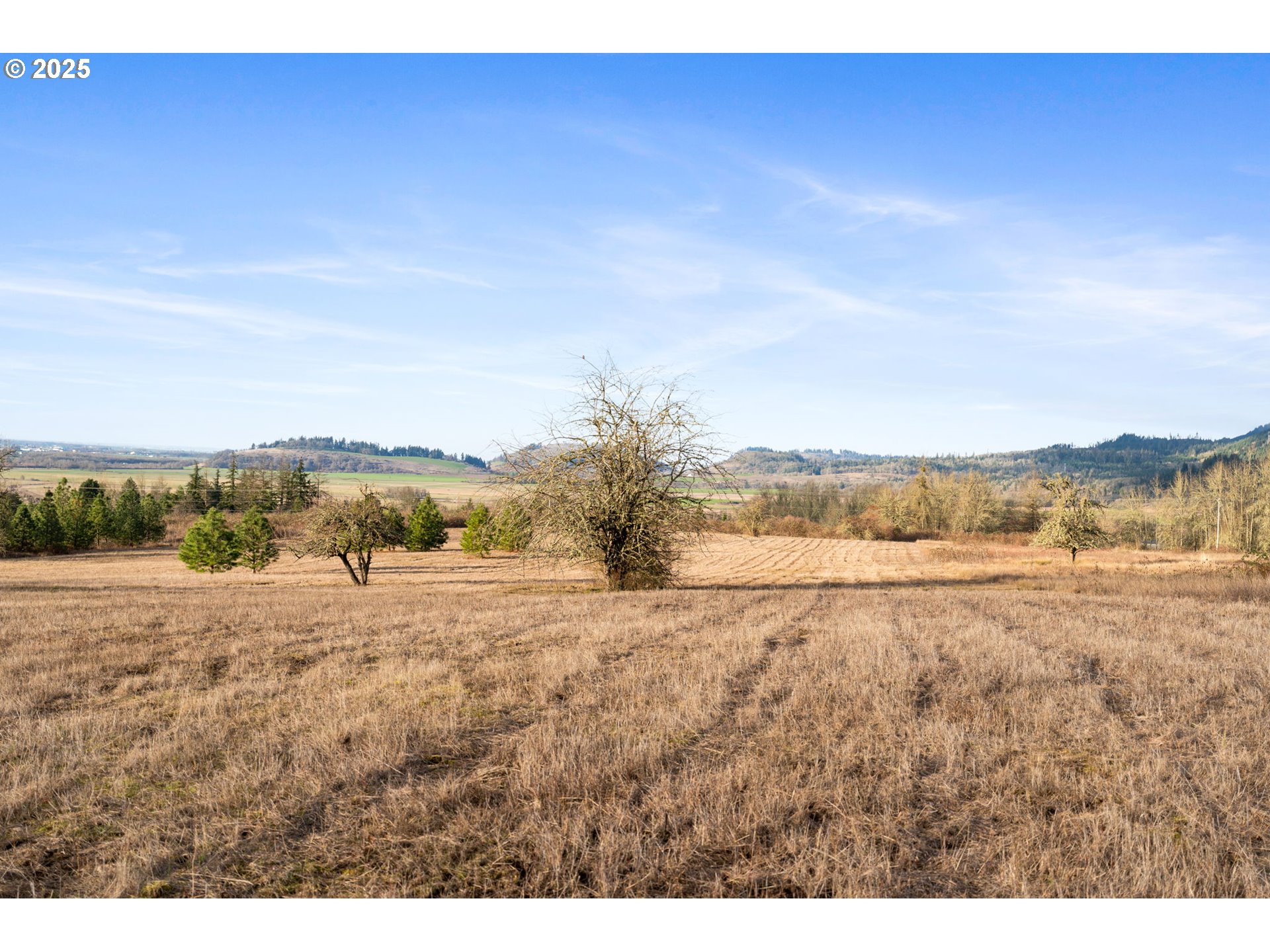 Diamond Ridge LOOP