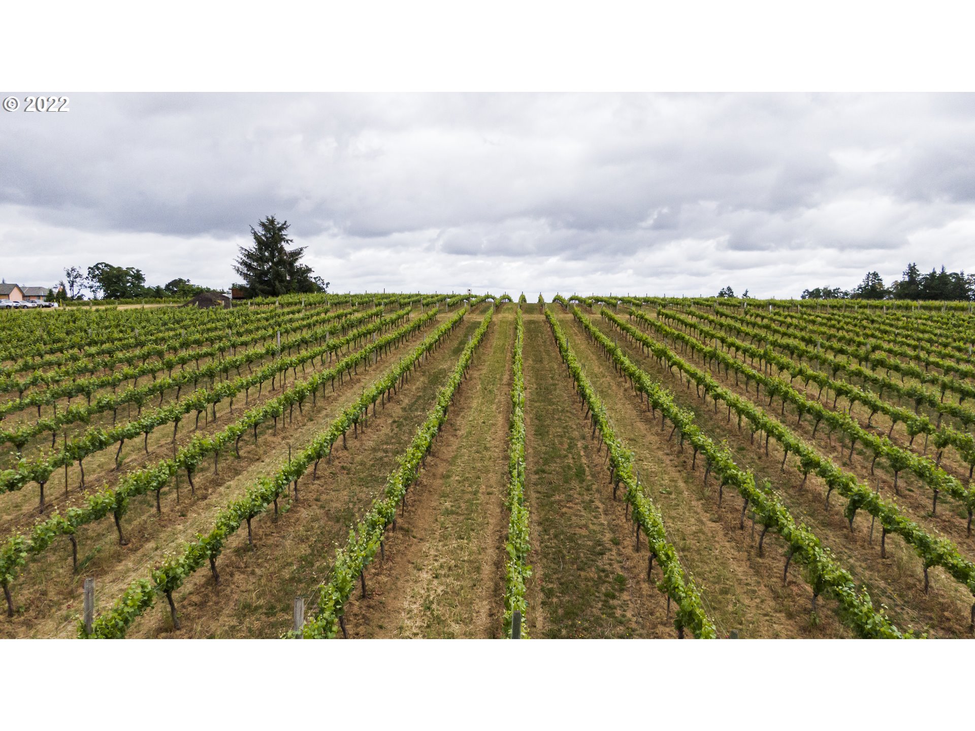 Dallas, Oregon 97338, United States, ,Commercial,Active,74118