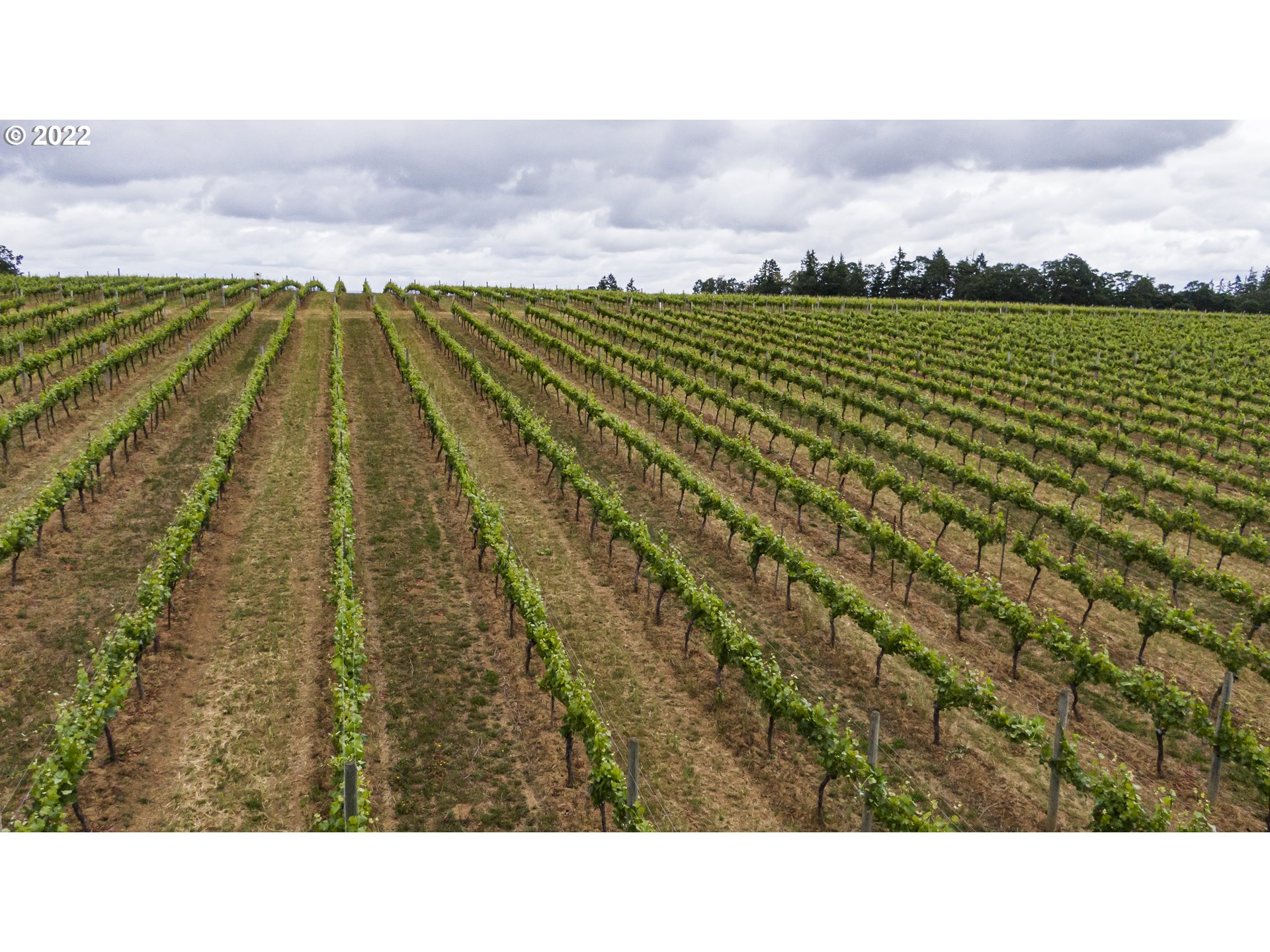 Dallas, Oregon 97338, United States, ,Commercial,Active,74118