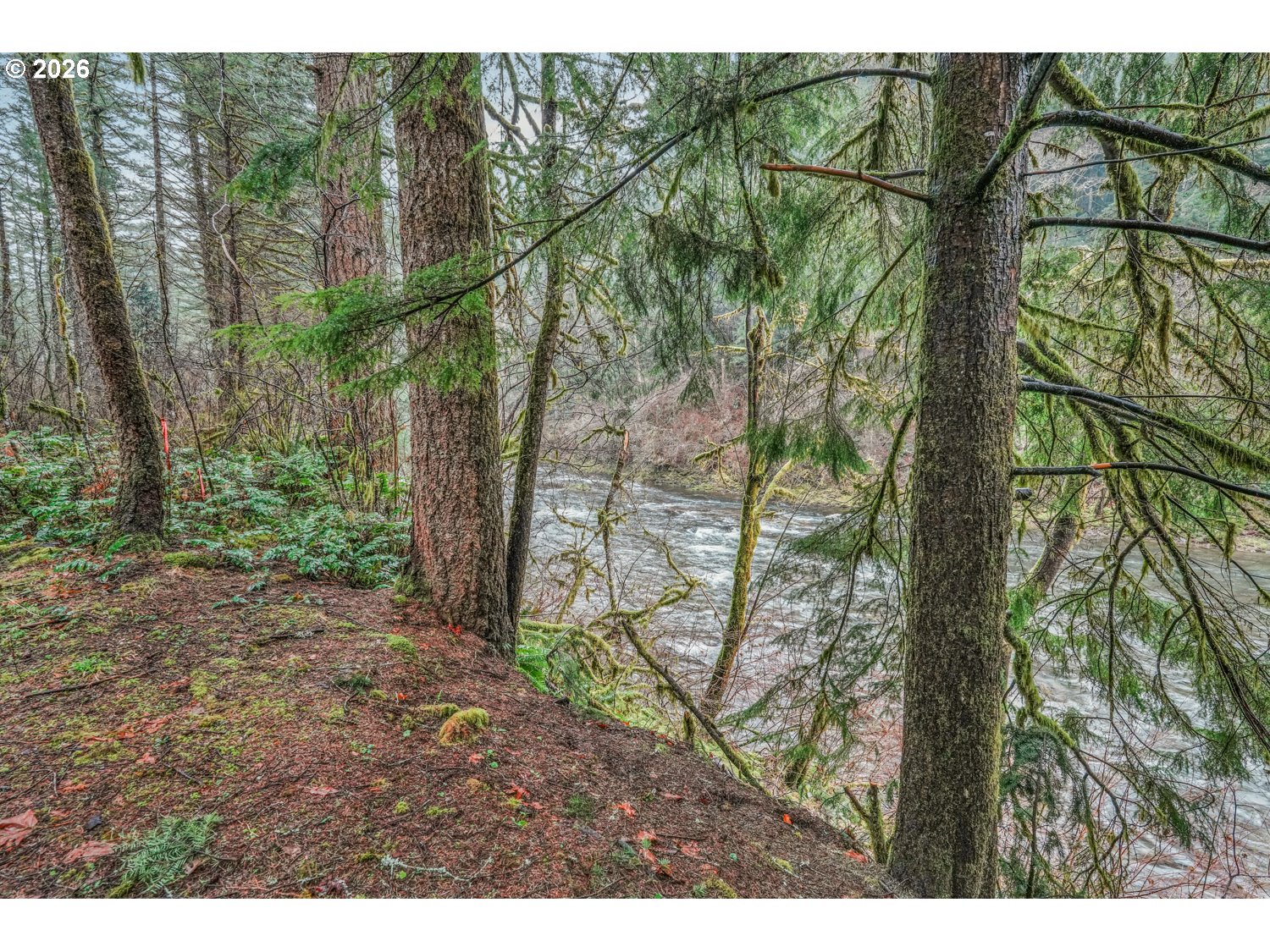 15202 WASHOUGAL RIVER RD
