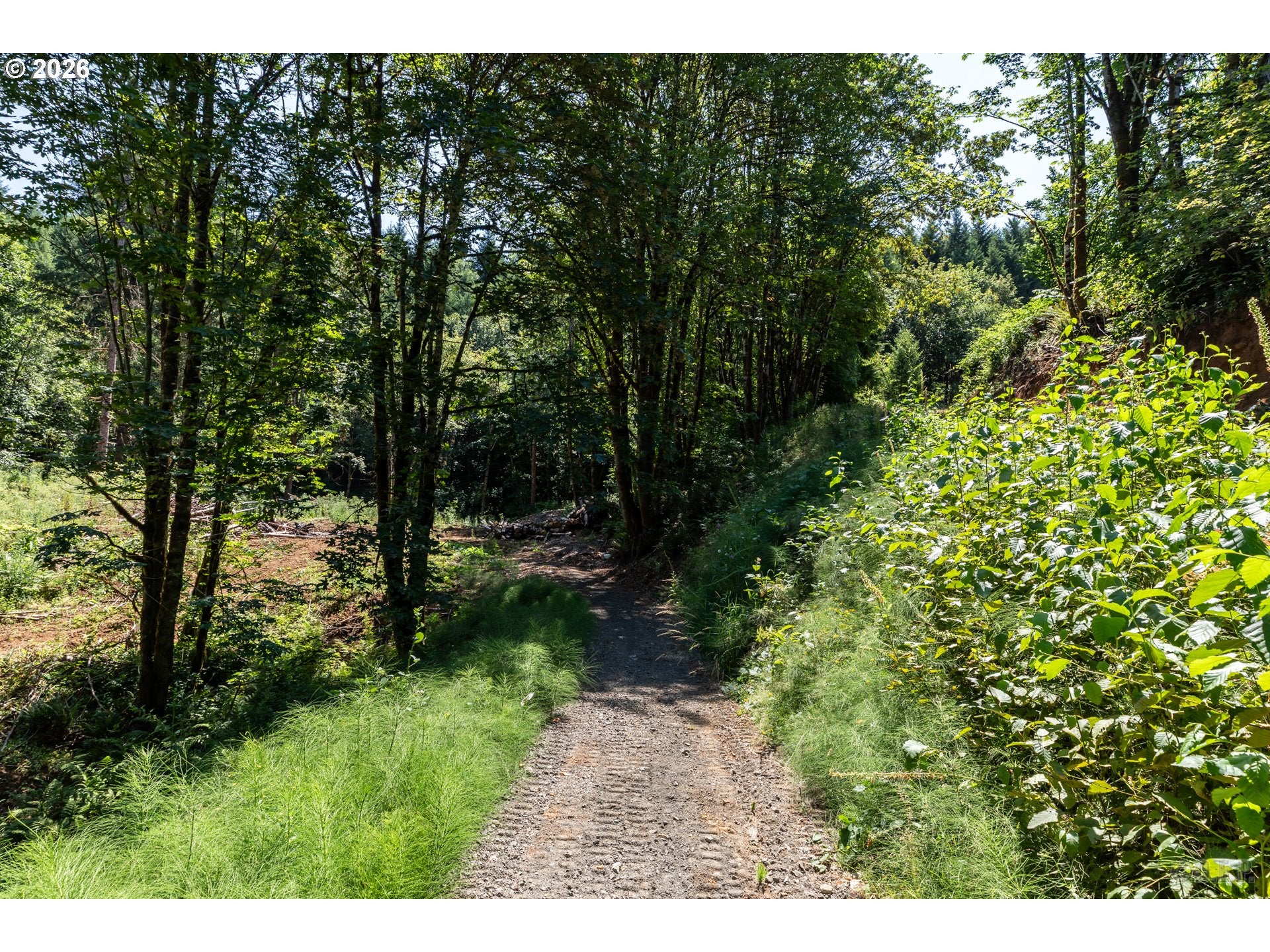 Armstrong RD 101