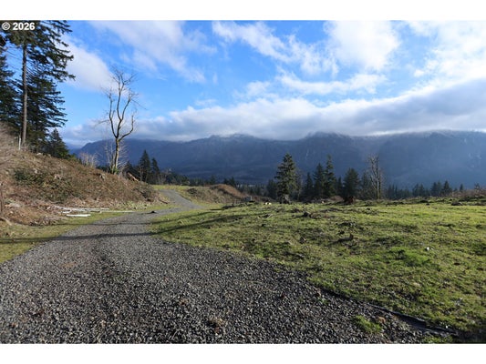 562 WOODARD CREEK RD, STEVENSON, WA 98648 - Image 82f42e512e2cca8fcfb8803134c501c8/3909729502