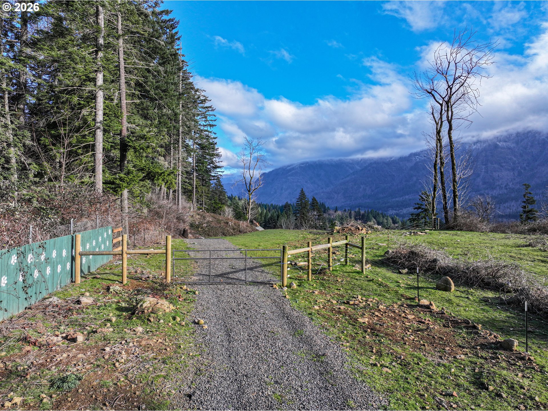 562 WOODARD CREEK RD