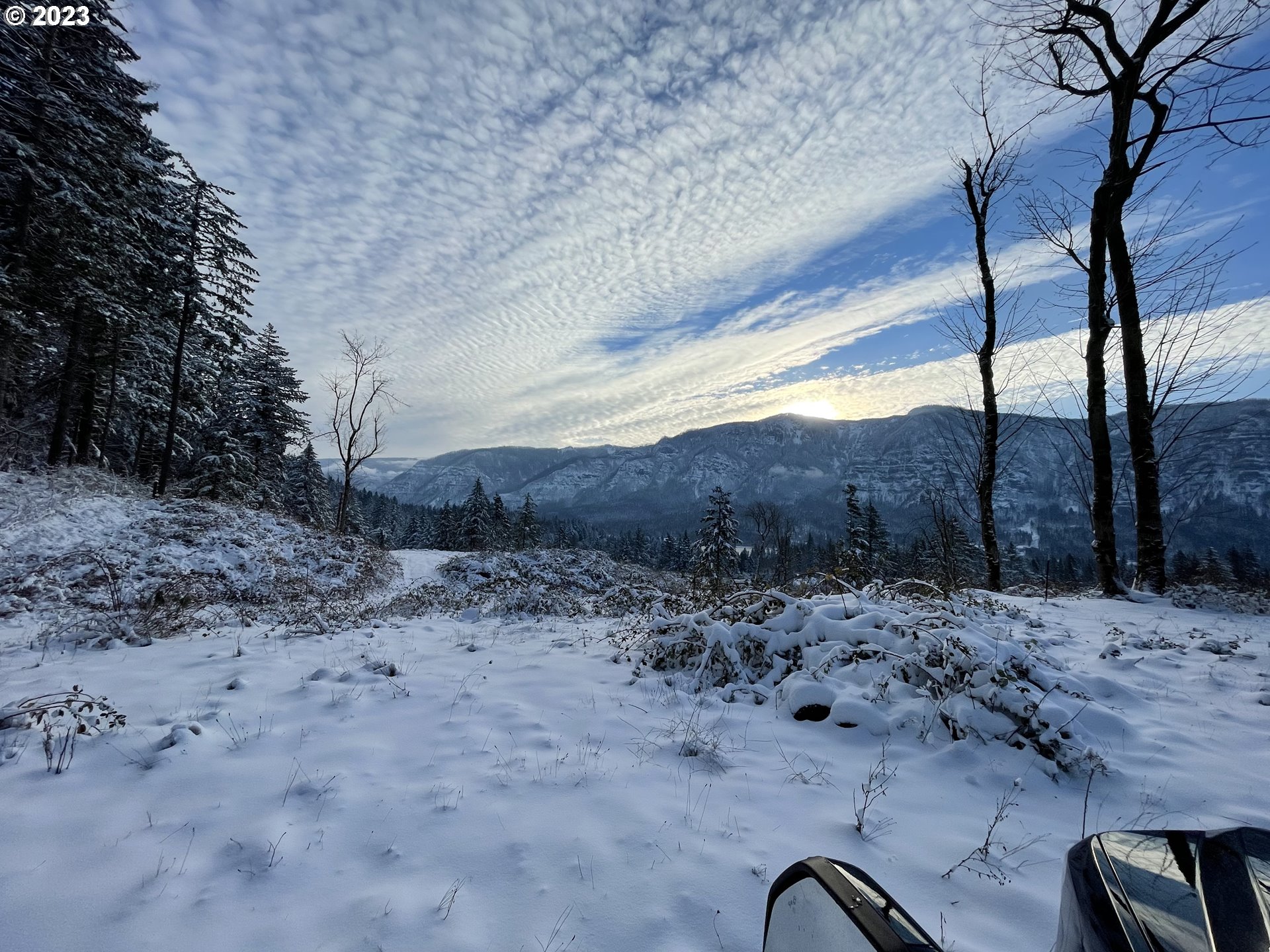 562 WOODARD CREEK RD