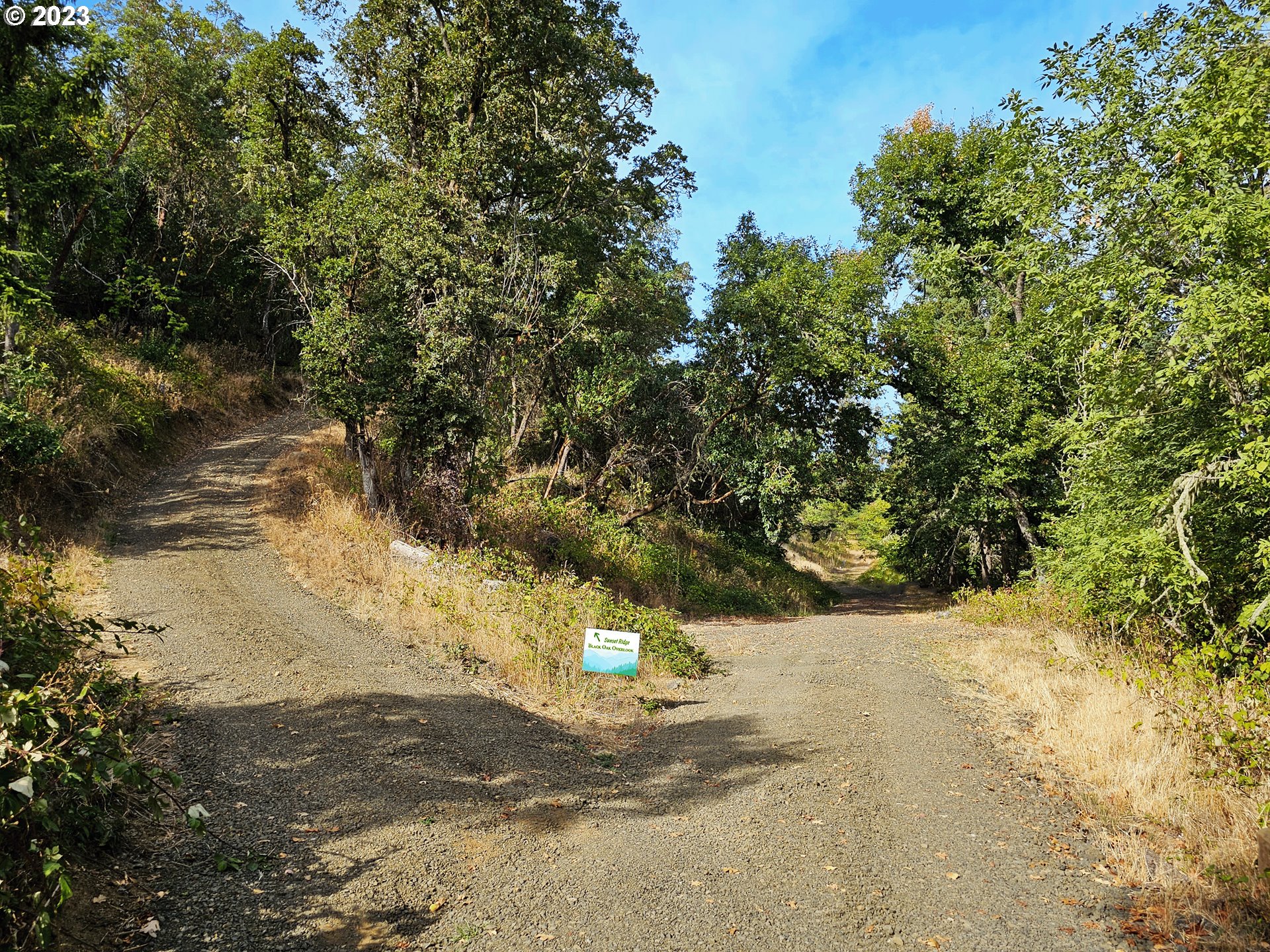 BLACK OAK DR