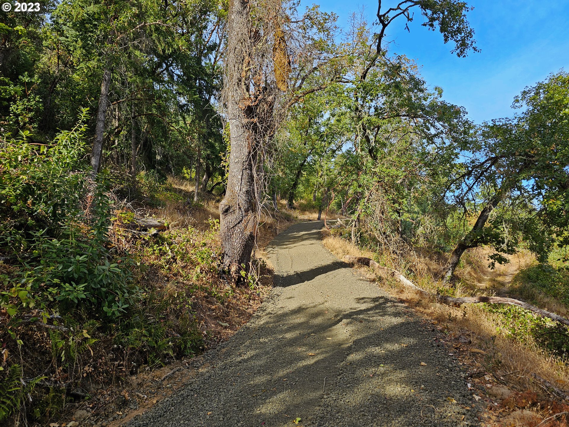 BLACK OAK DR