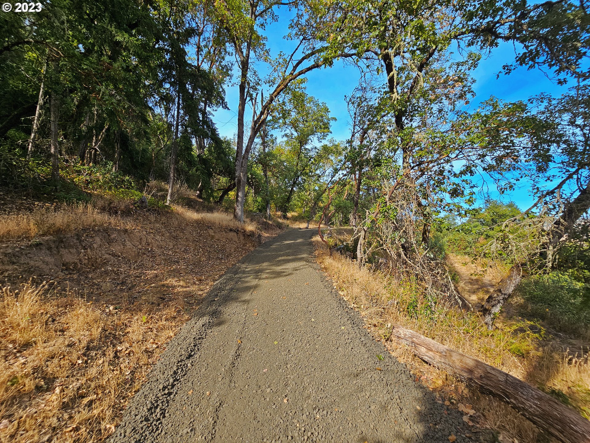 BLACK OAK DR