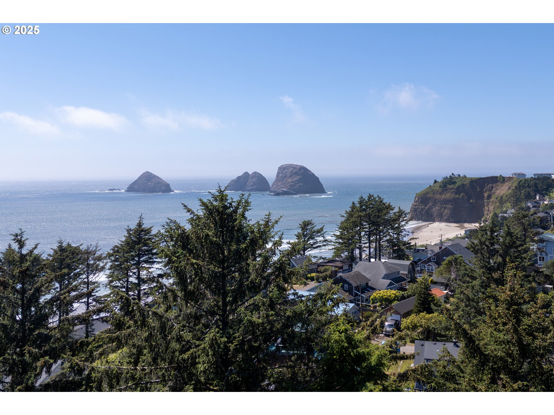 Oceanside, Oregon 97134, United States, ,Land,Active,167012