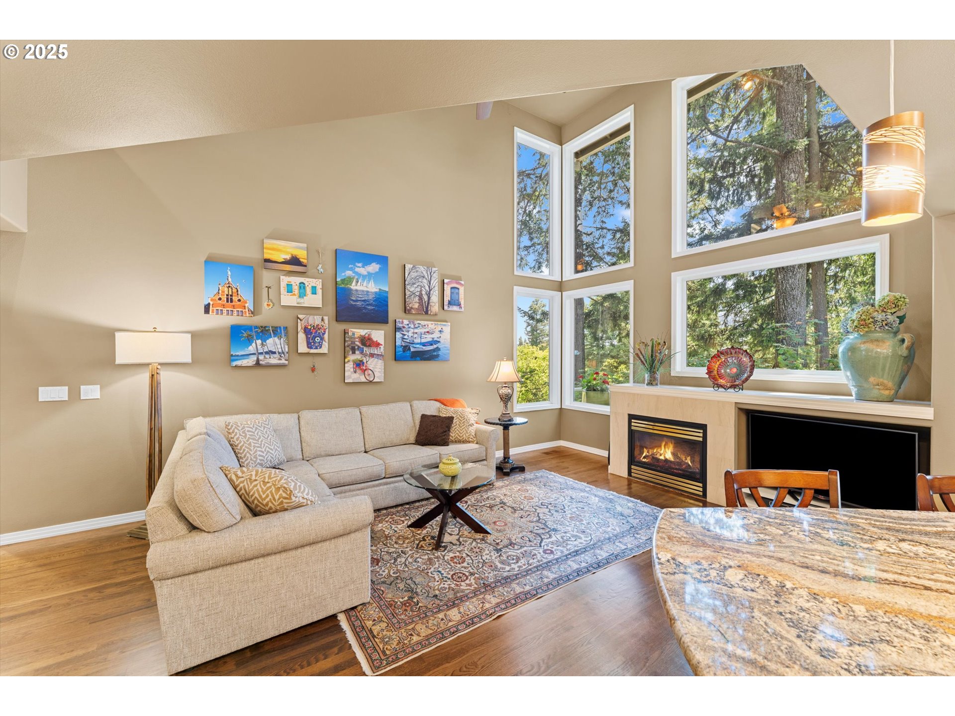 3486 CHAPARREL LOOP