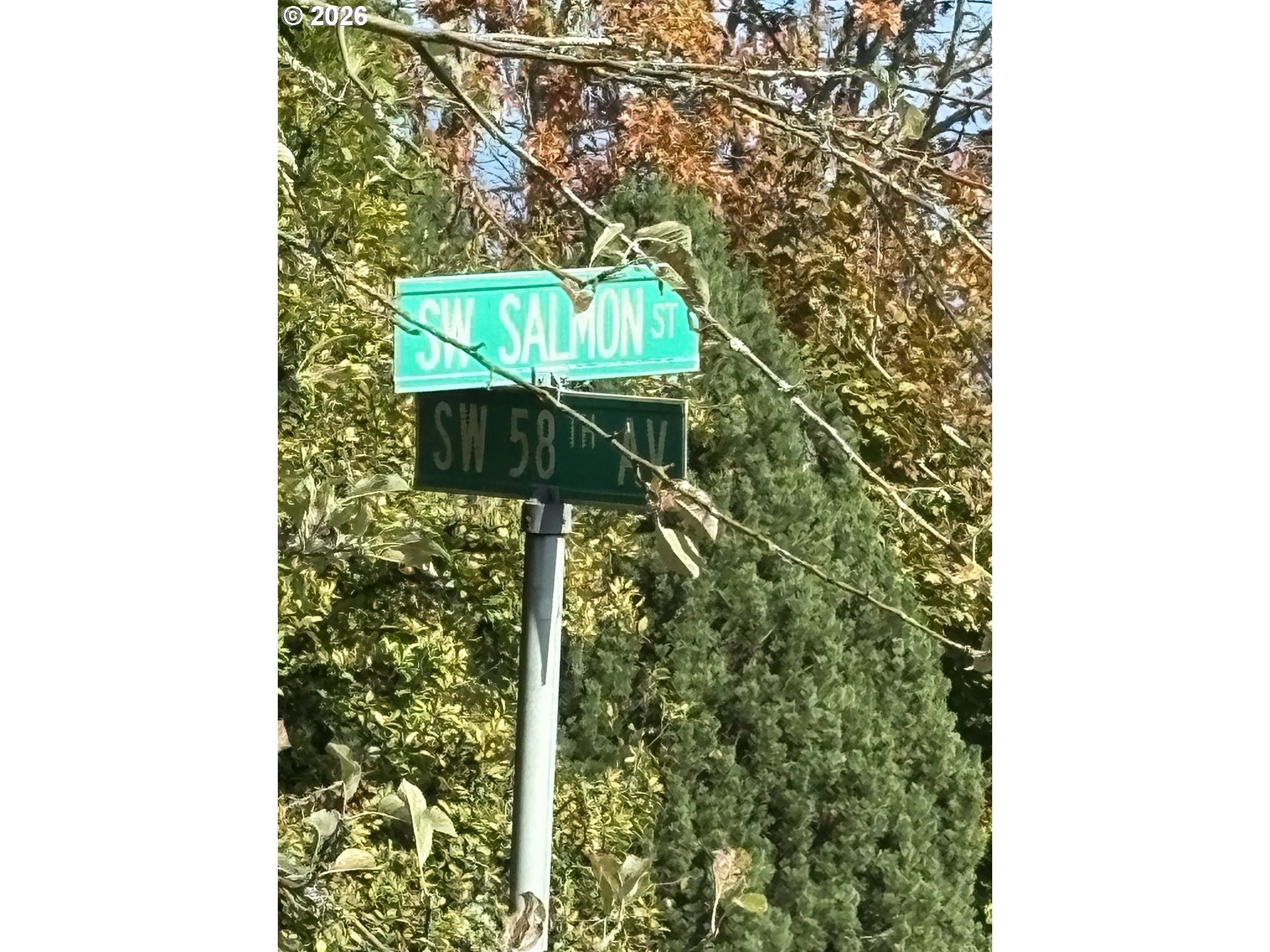 0 SW Salmon