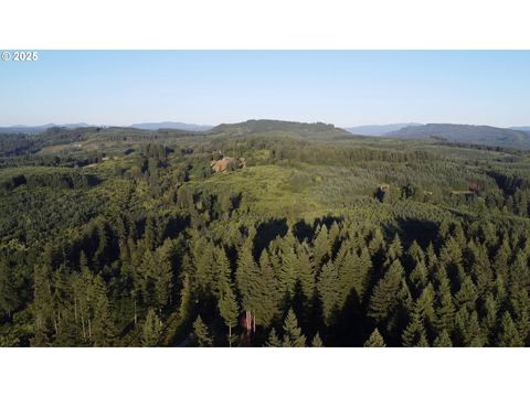 0 NE 171st CT Yacolt WA 98675