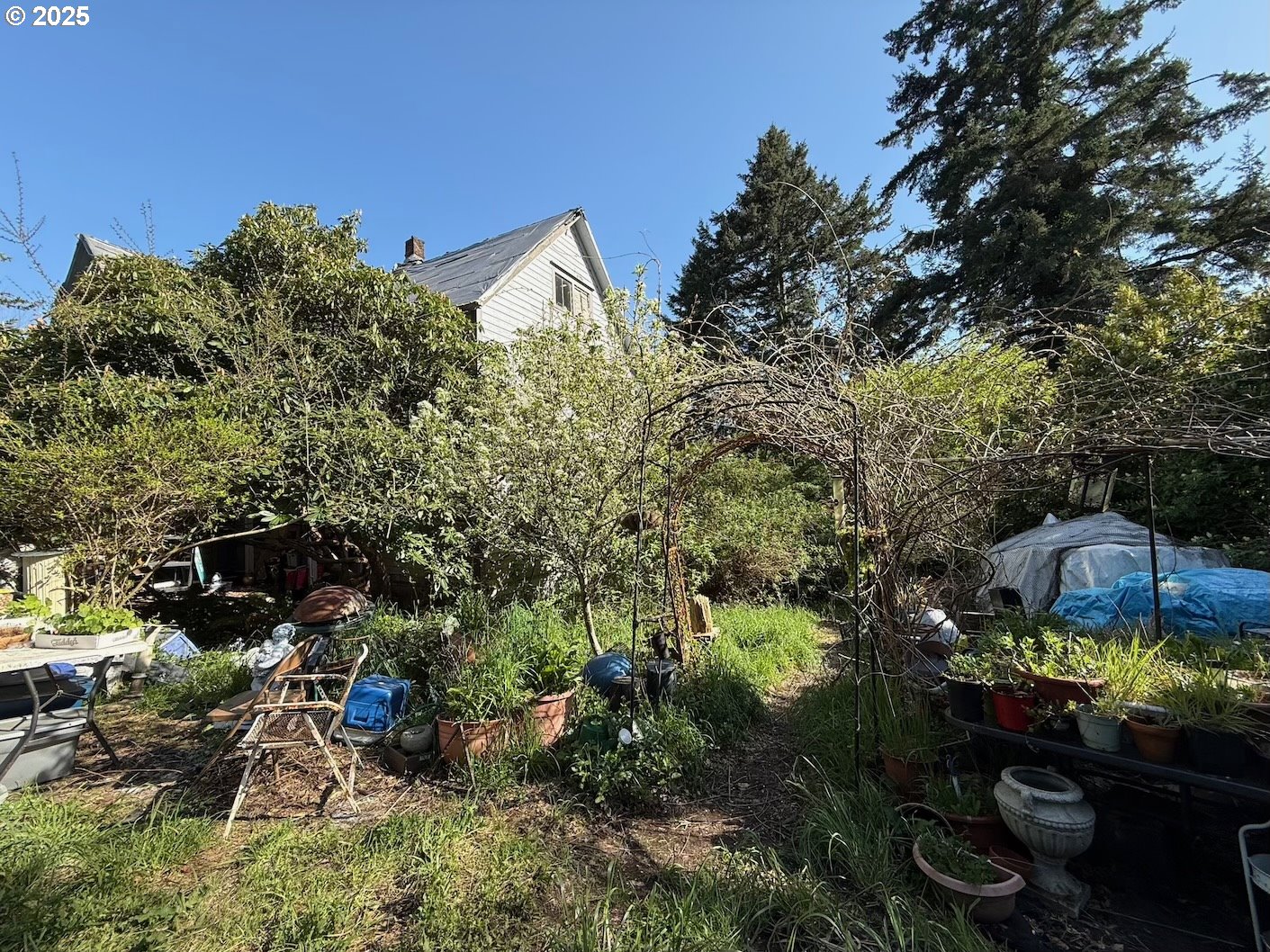 1231 CENTRAL AVE