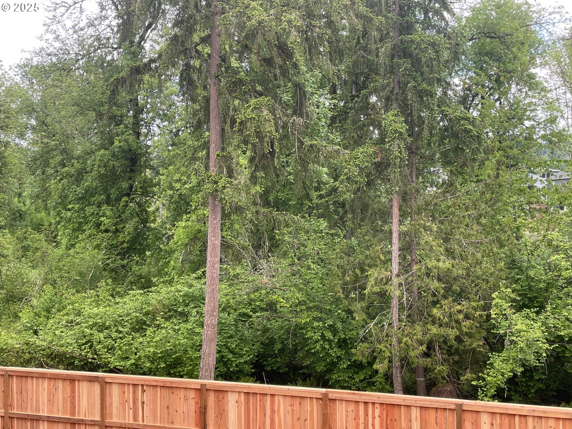 Sherwood, Oregon 97140, United States, 3 Bedrooms Bedrooms, ,3 BathroomsBathrooms,Residential,Active,91053