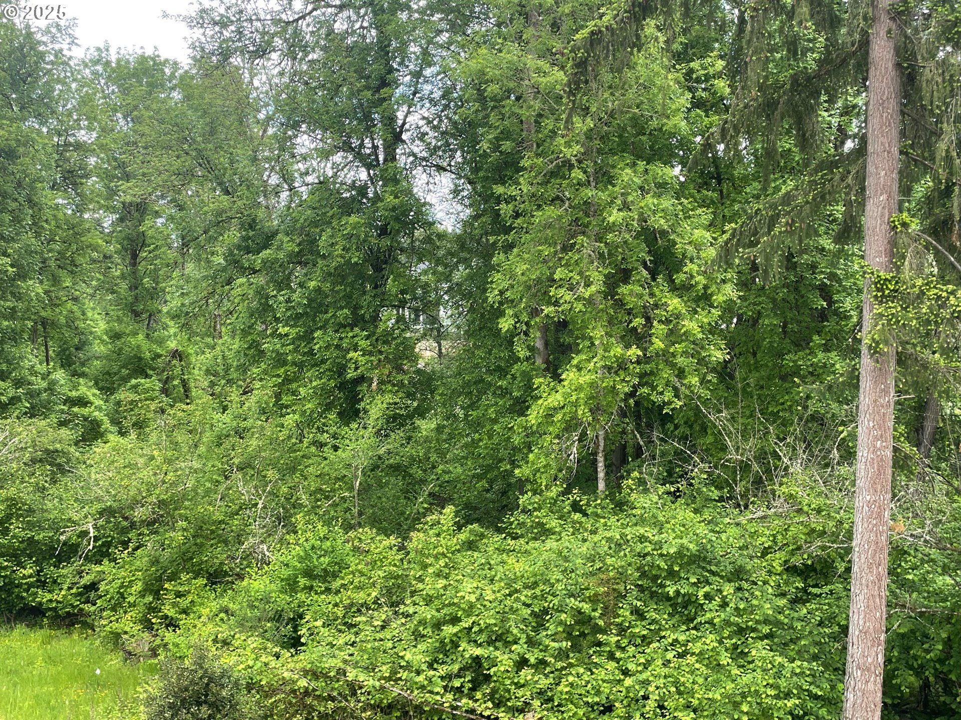 Sherwood, Oregon 97140, United States, 3 Bedrooms Bedrooms, ,3 BathroomsBathrooms,Residential,Active,91053