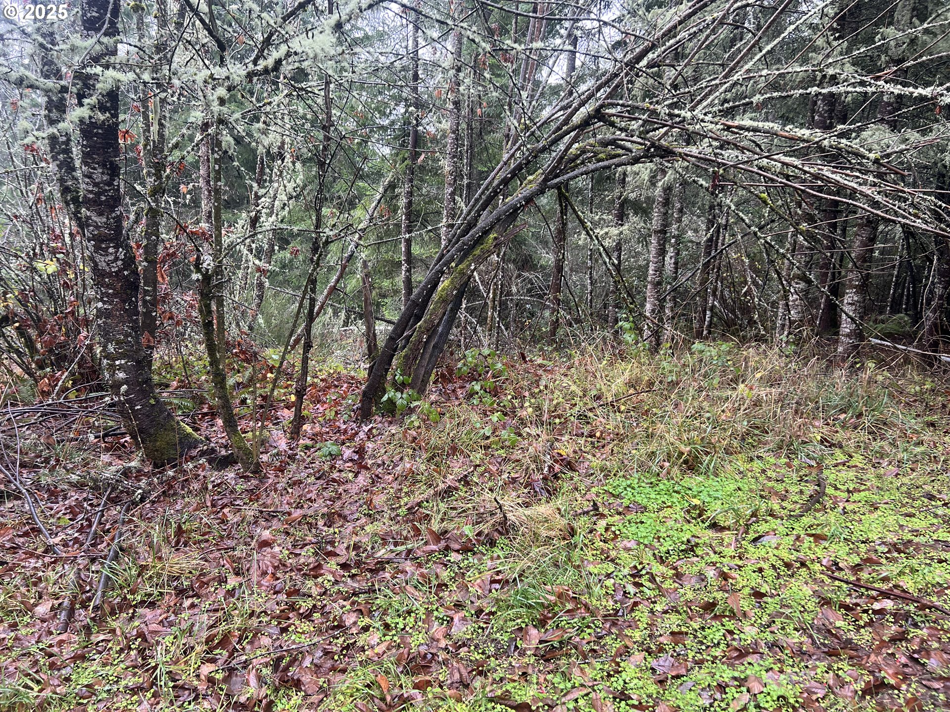 82964 HUNGRY HILL RD