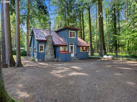 A home in Rhododendron