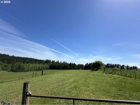 A home in Newberg