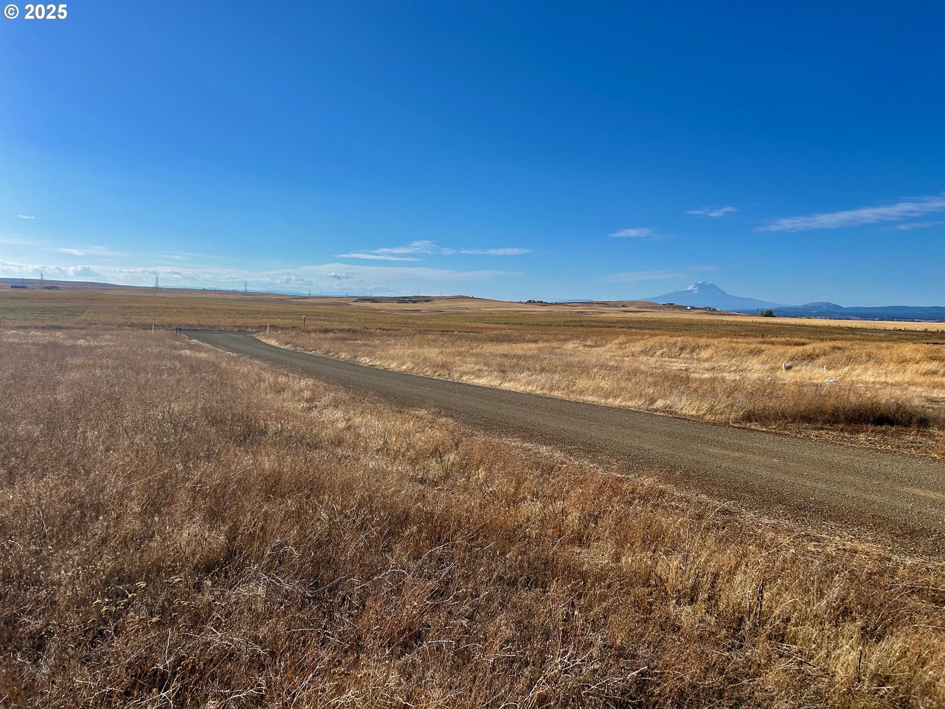55 Cole Mt LOOP