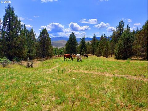 Wiley Creek Rd Dayville OR 97825