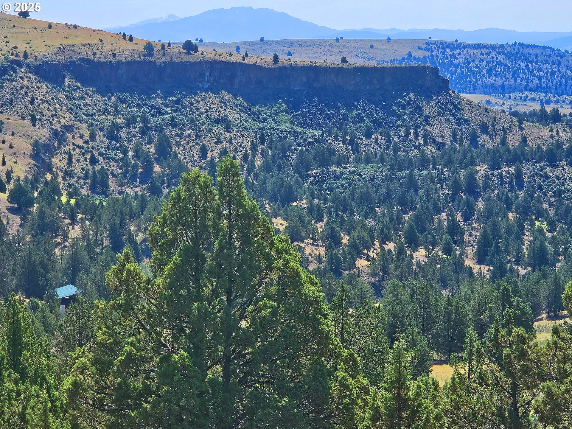 Wiley Creek Rd