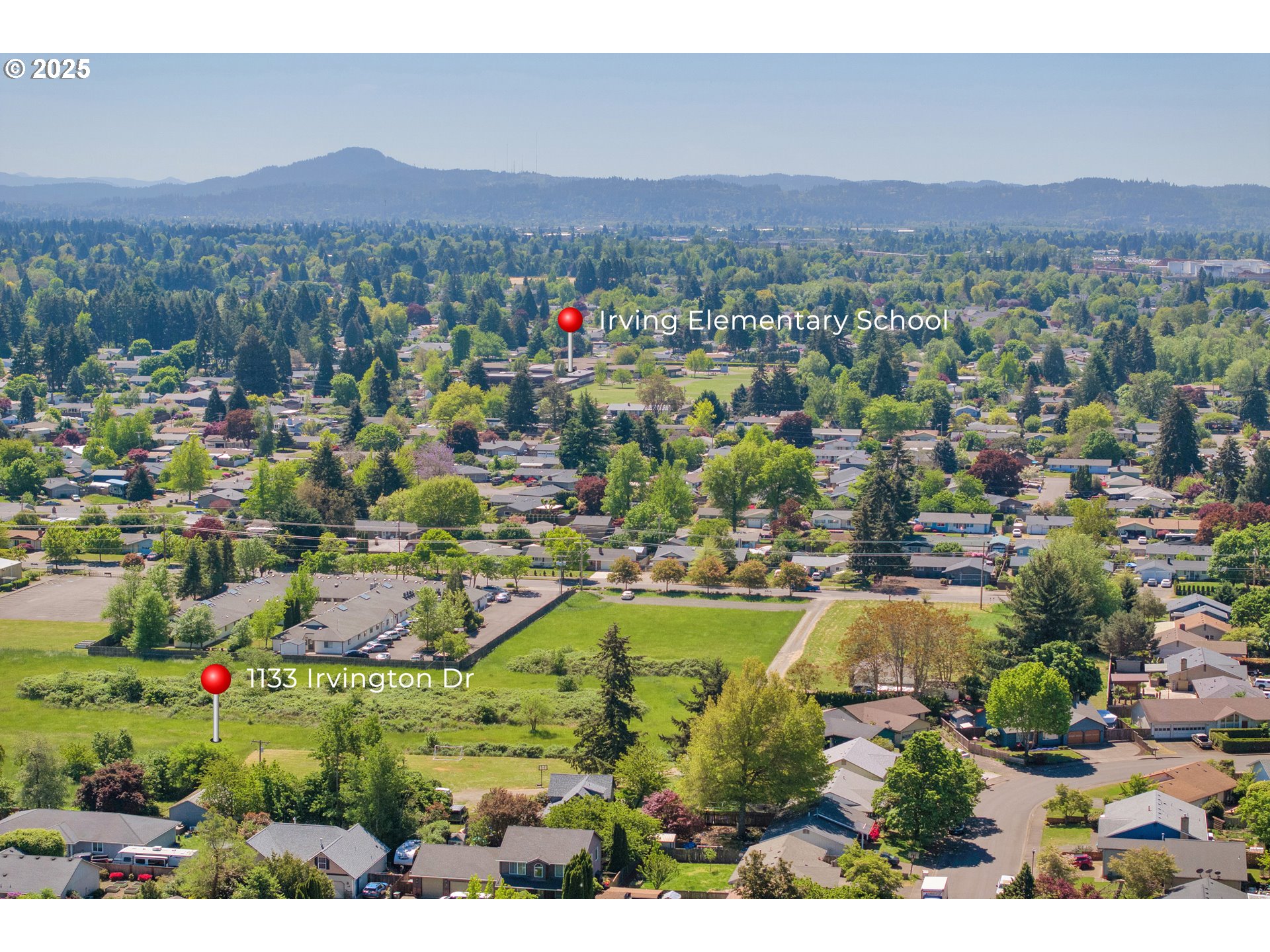 1133 IRVINGTON DR