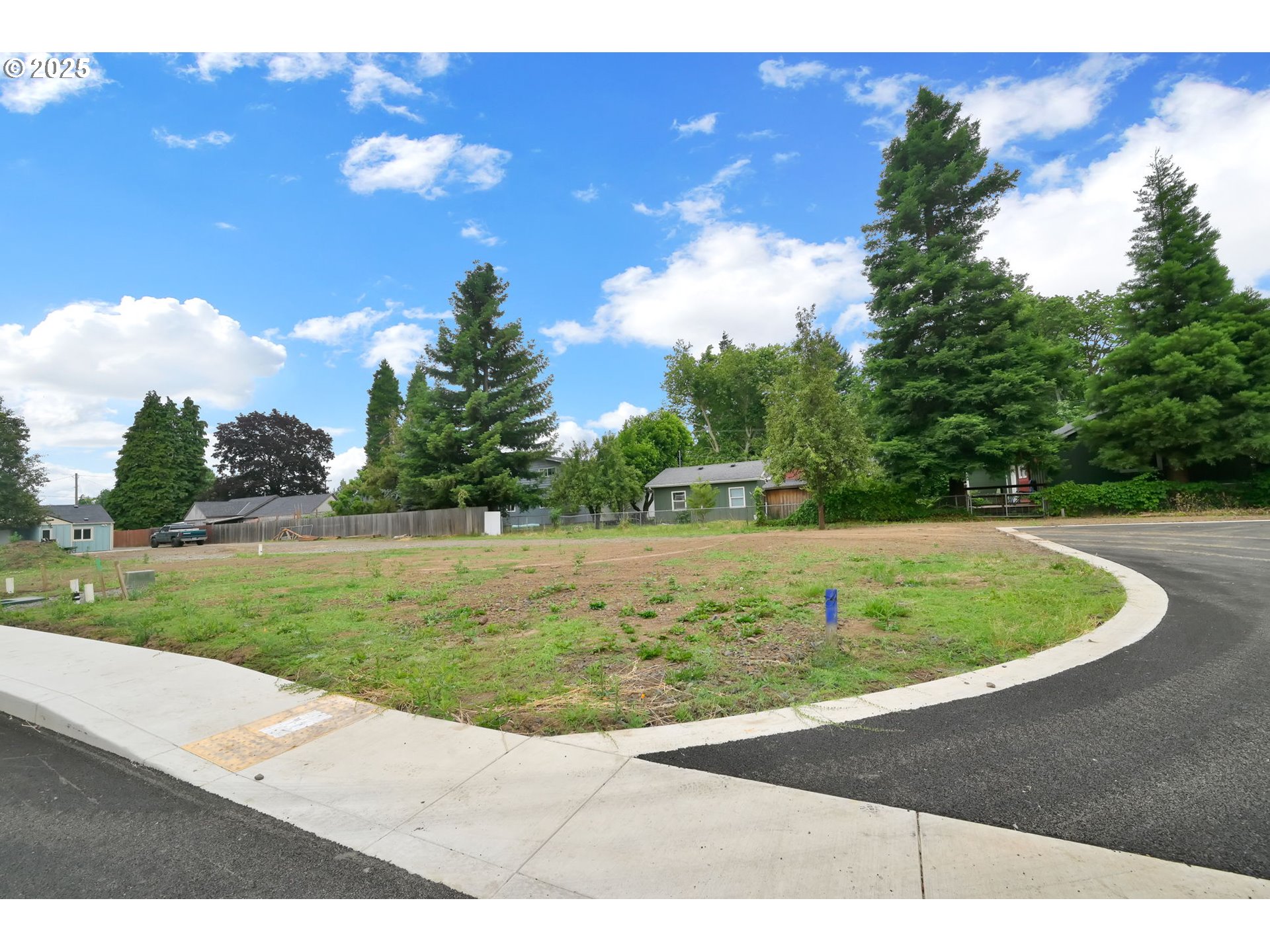 Sprig LN Lot 4