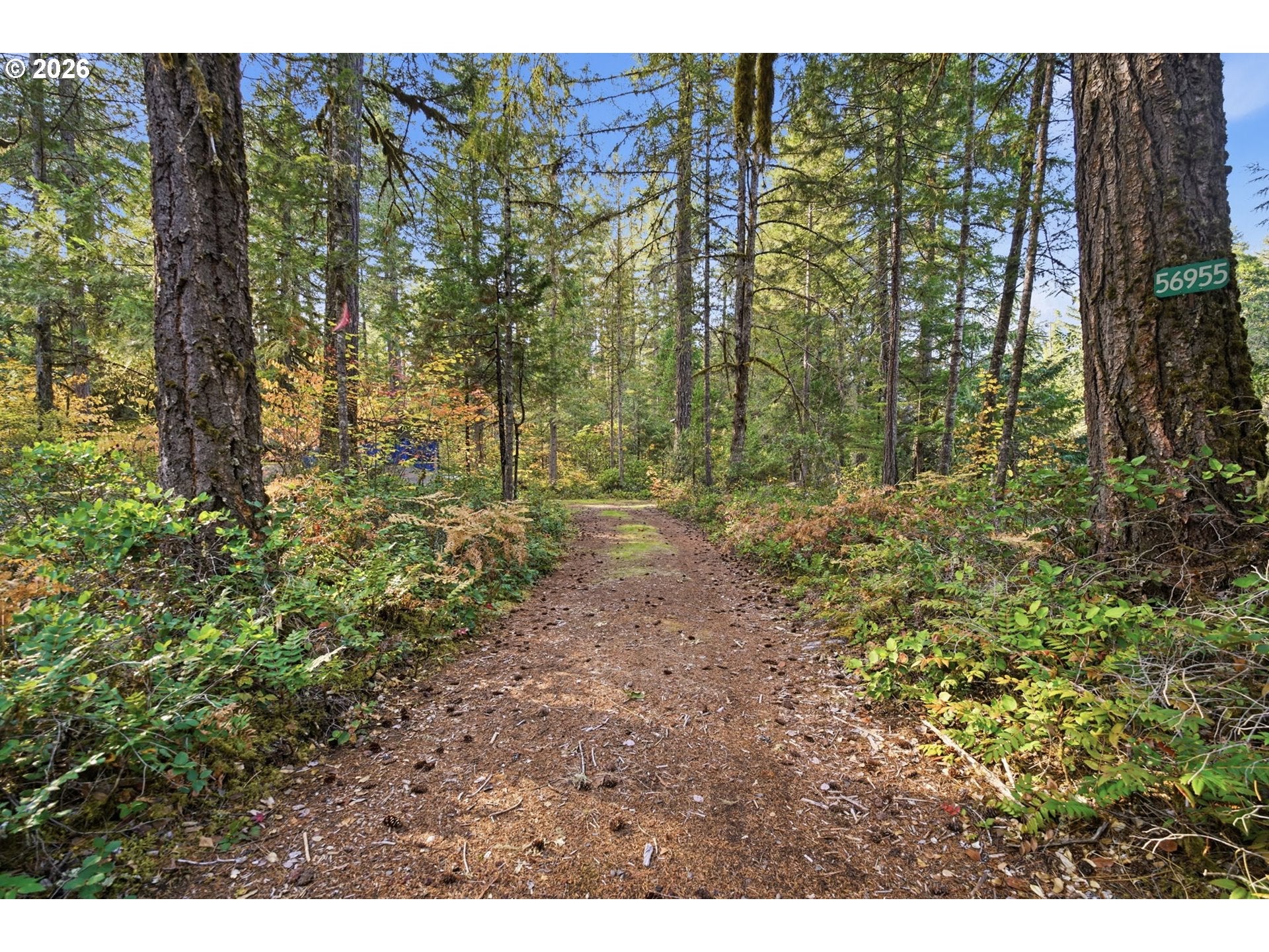56955 MCKENZIE HWY