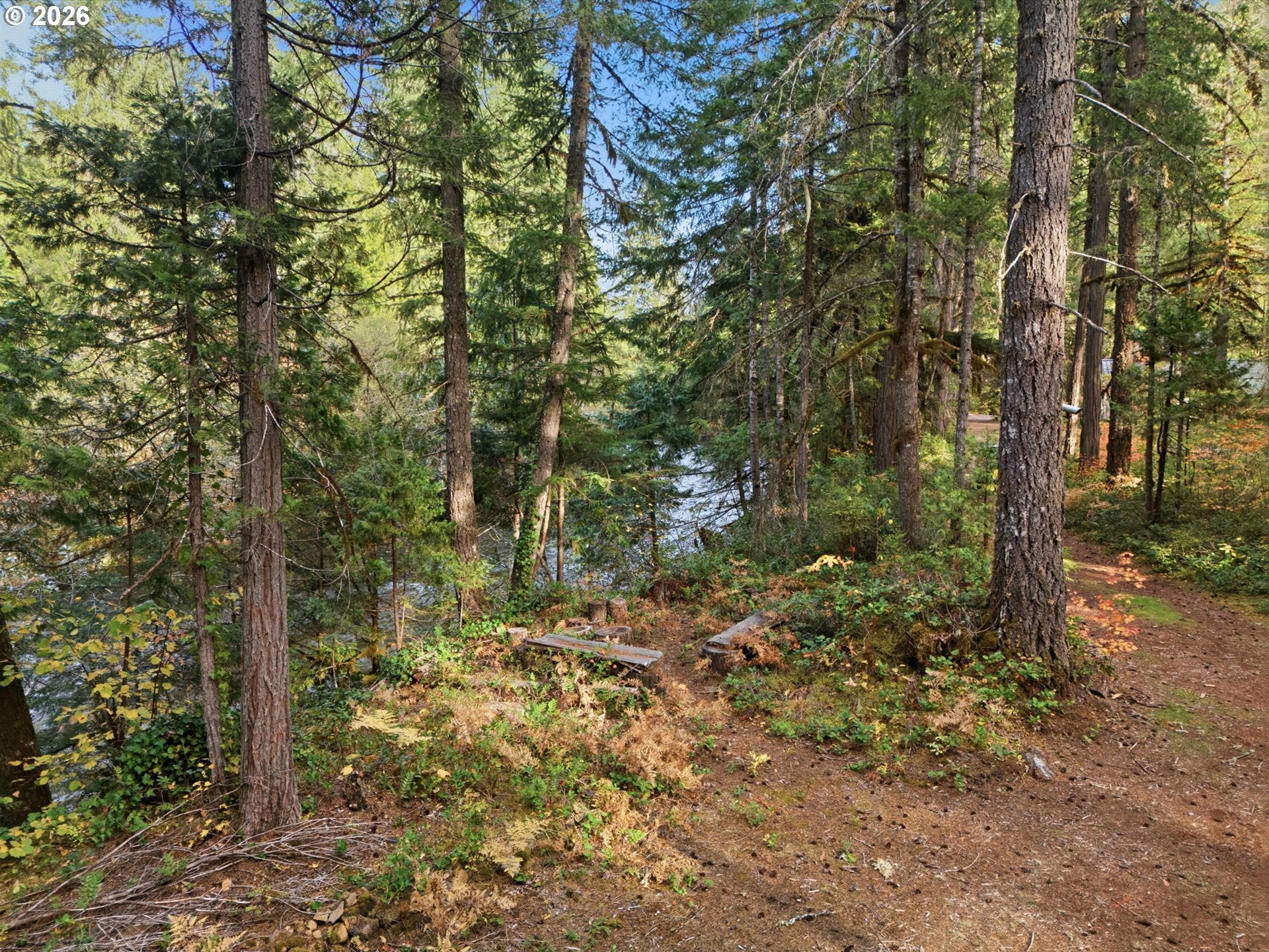 56955 MCKENZIE HWY