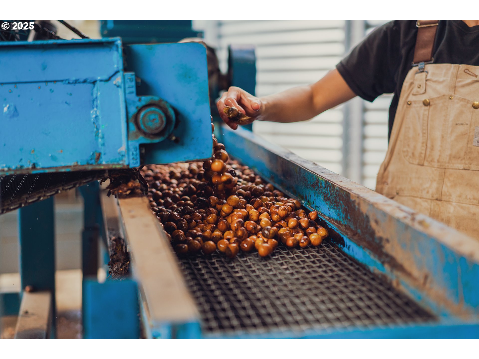 Forest Grove, Oregon 97116, United States, ,Residential,Active,18731