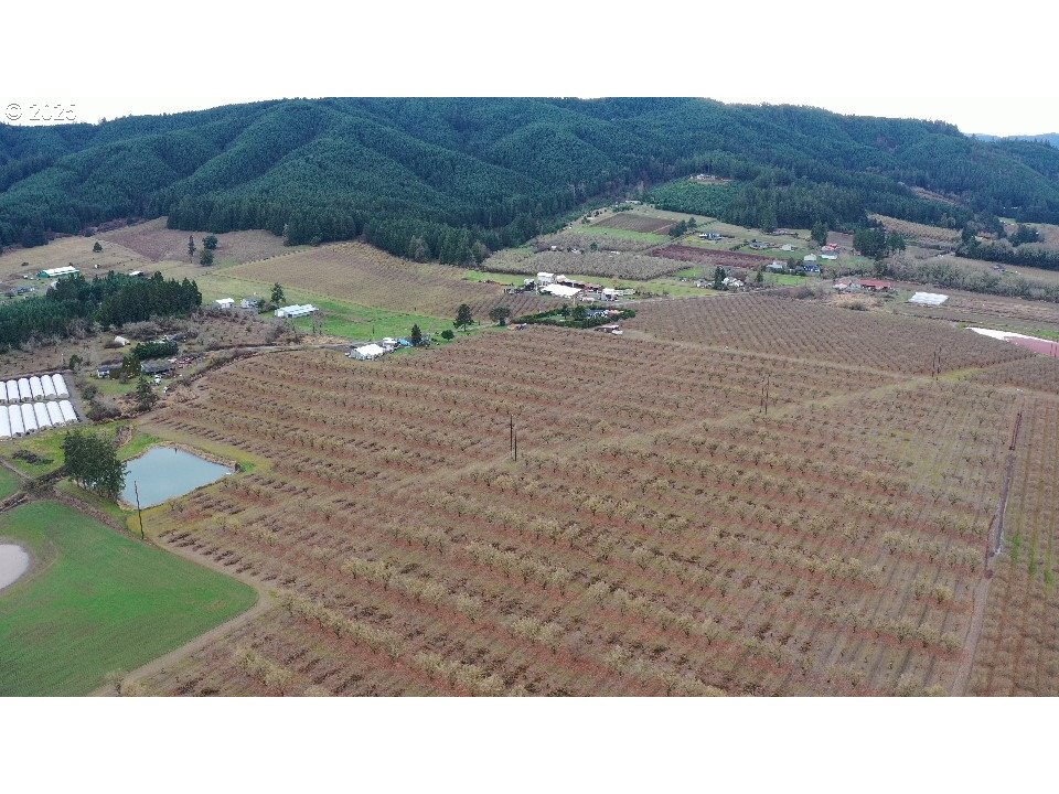 Forest Grove, Oregon 97116, United States, ,Residential,Active,18731