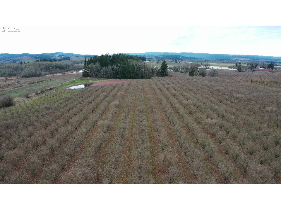 Forest Grove, Oregon 97116, United States, ,Residential,Active,18731