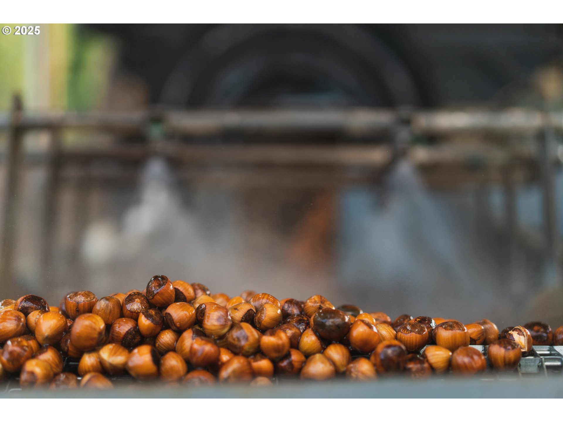 Forest Grove, Oregon 97116, United States, ,Residential,Active,18731